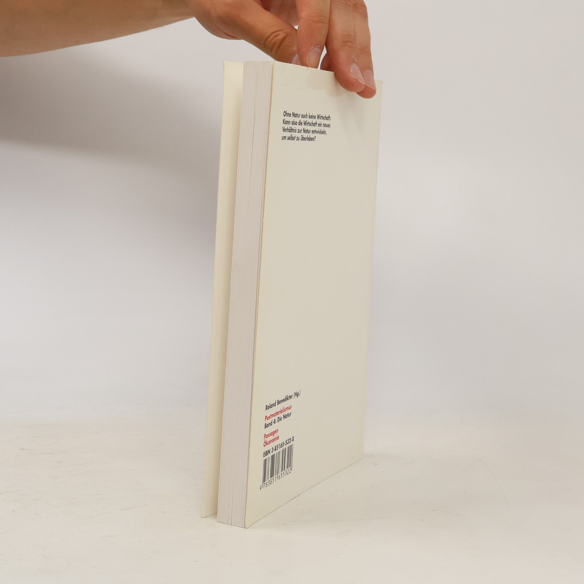 Roland Benedikter Postmaterialismus