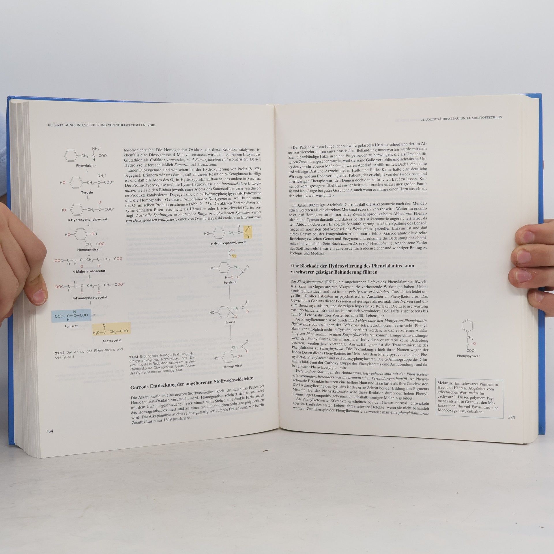 Lubert Stryer Biochemie
