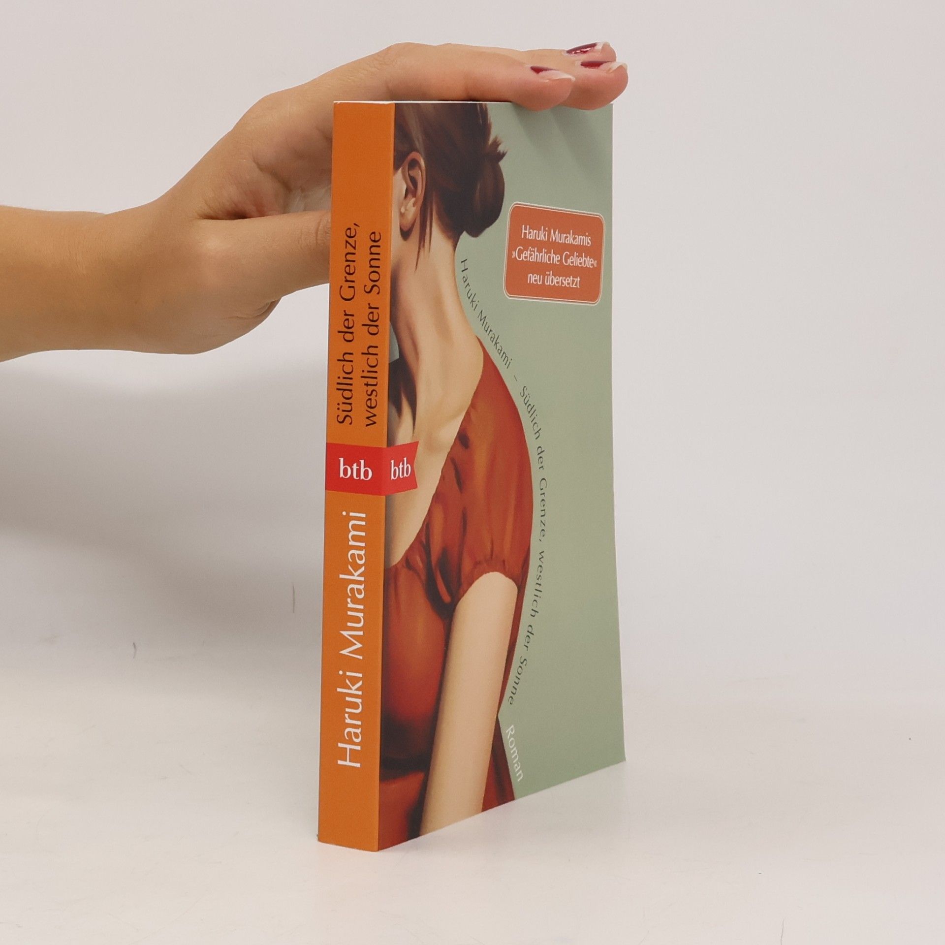 Haruki Murakami Südlich der Grenze, westlich der Sonne