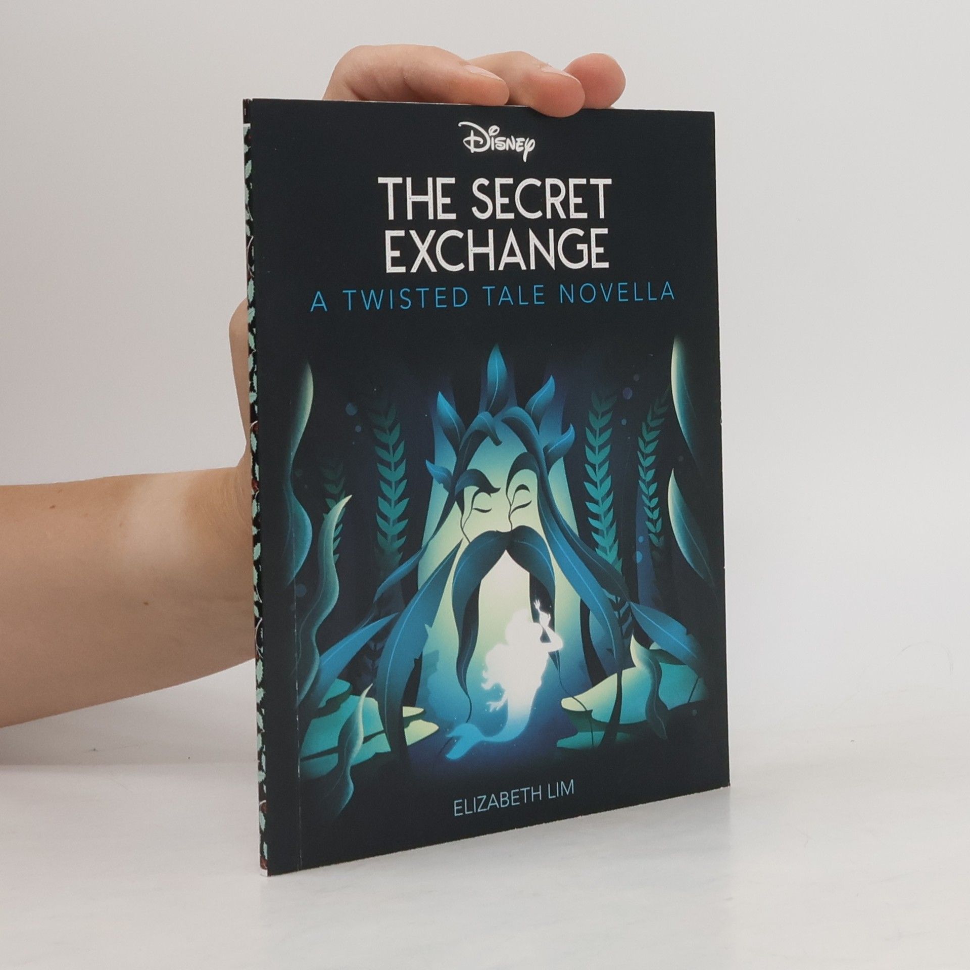 Elizabeth Lim The Secret Exchange a Twisted Tale Novella