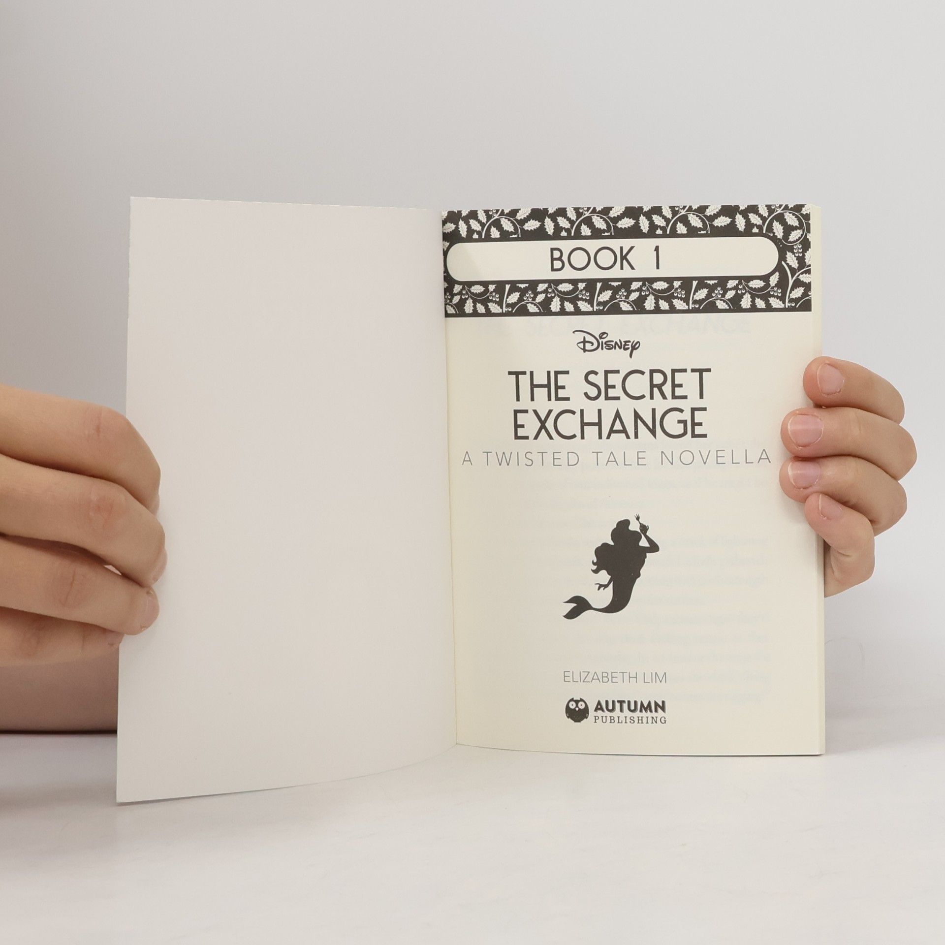 Elizabeth Lim The Secret Exchange a Twisted Tale Novella