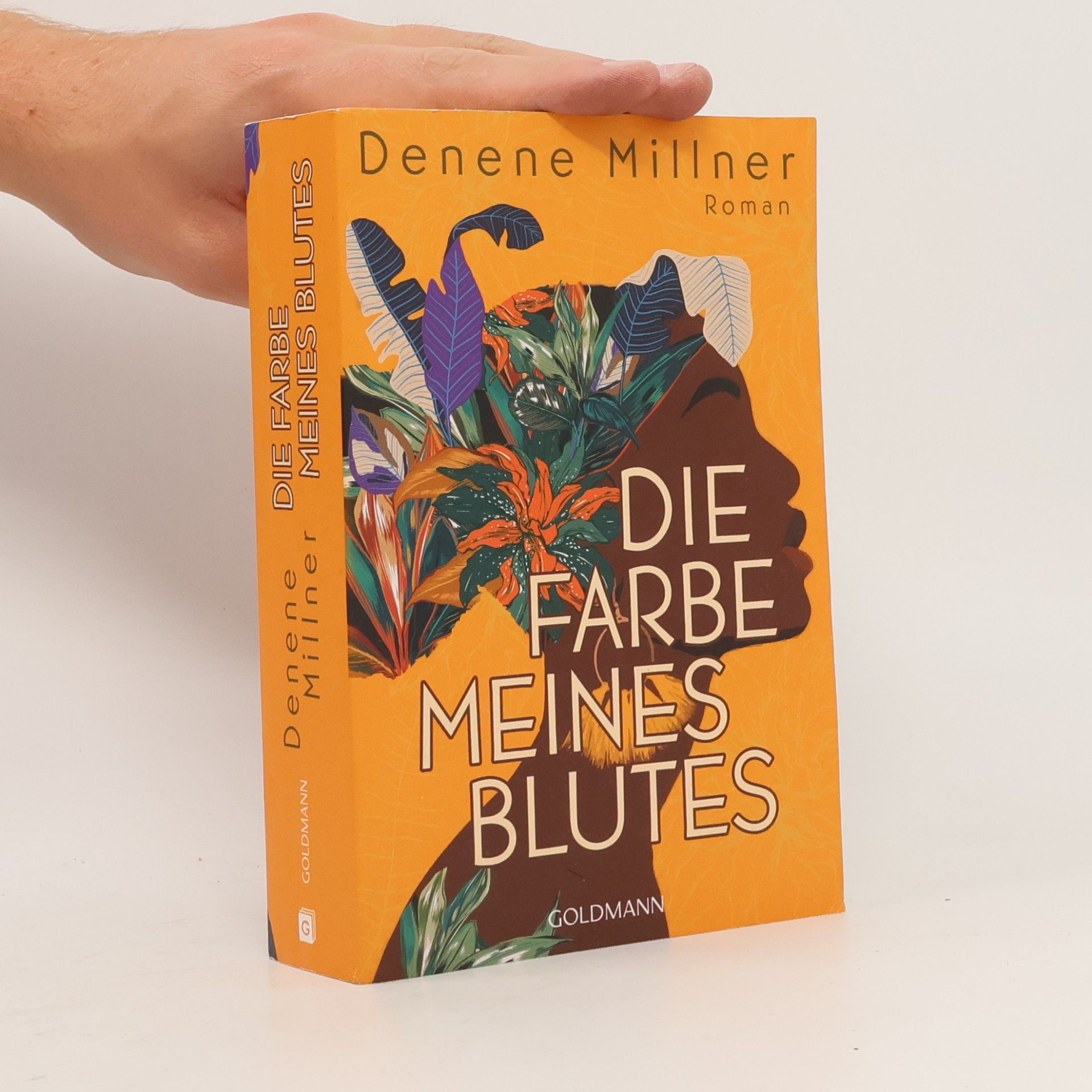 Denene Millner Die Farbe meines Blutes