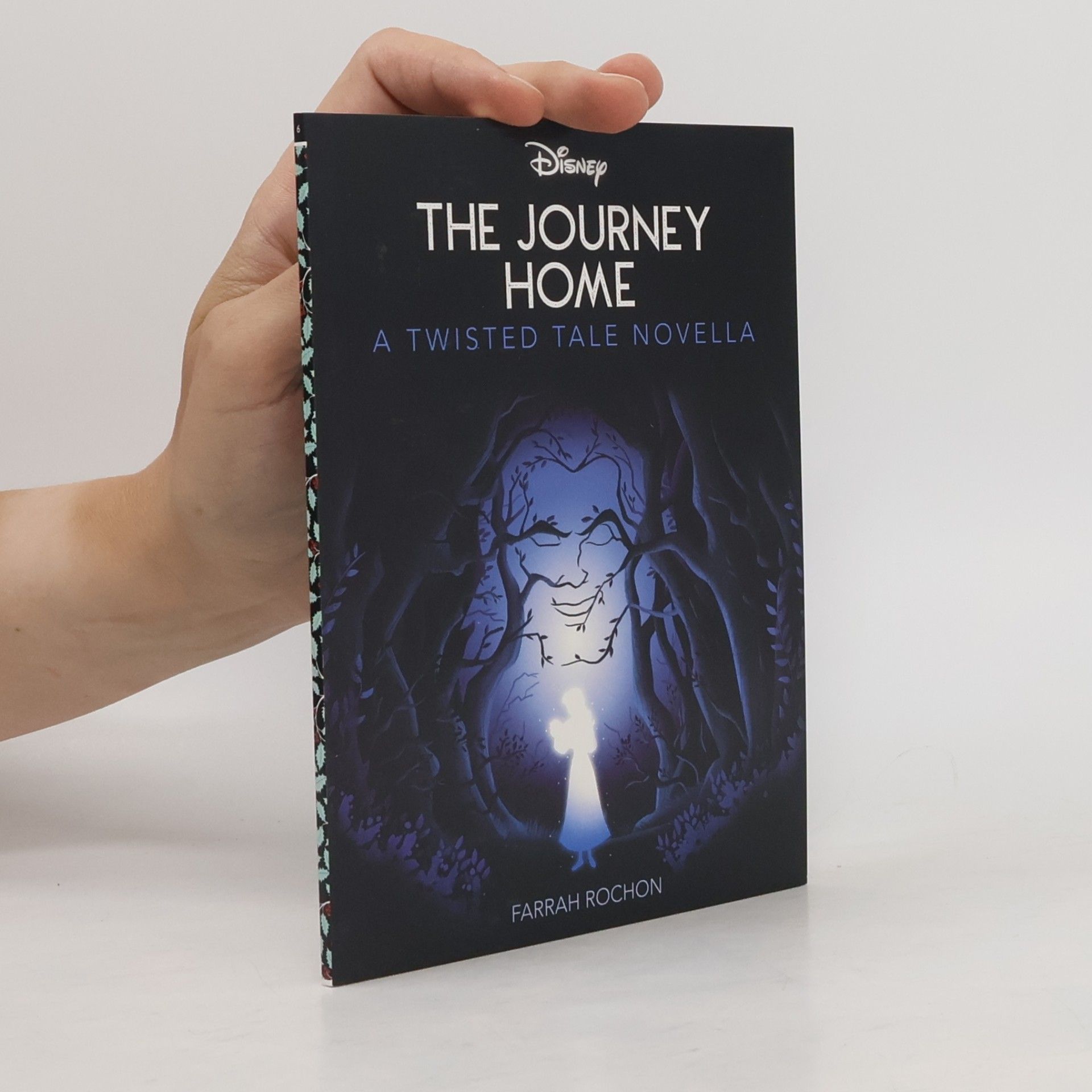 The Journey Home