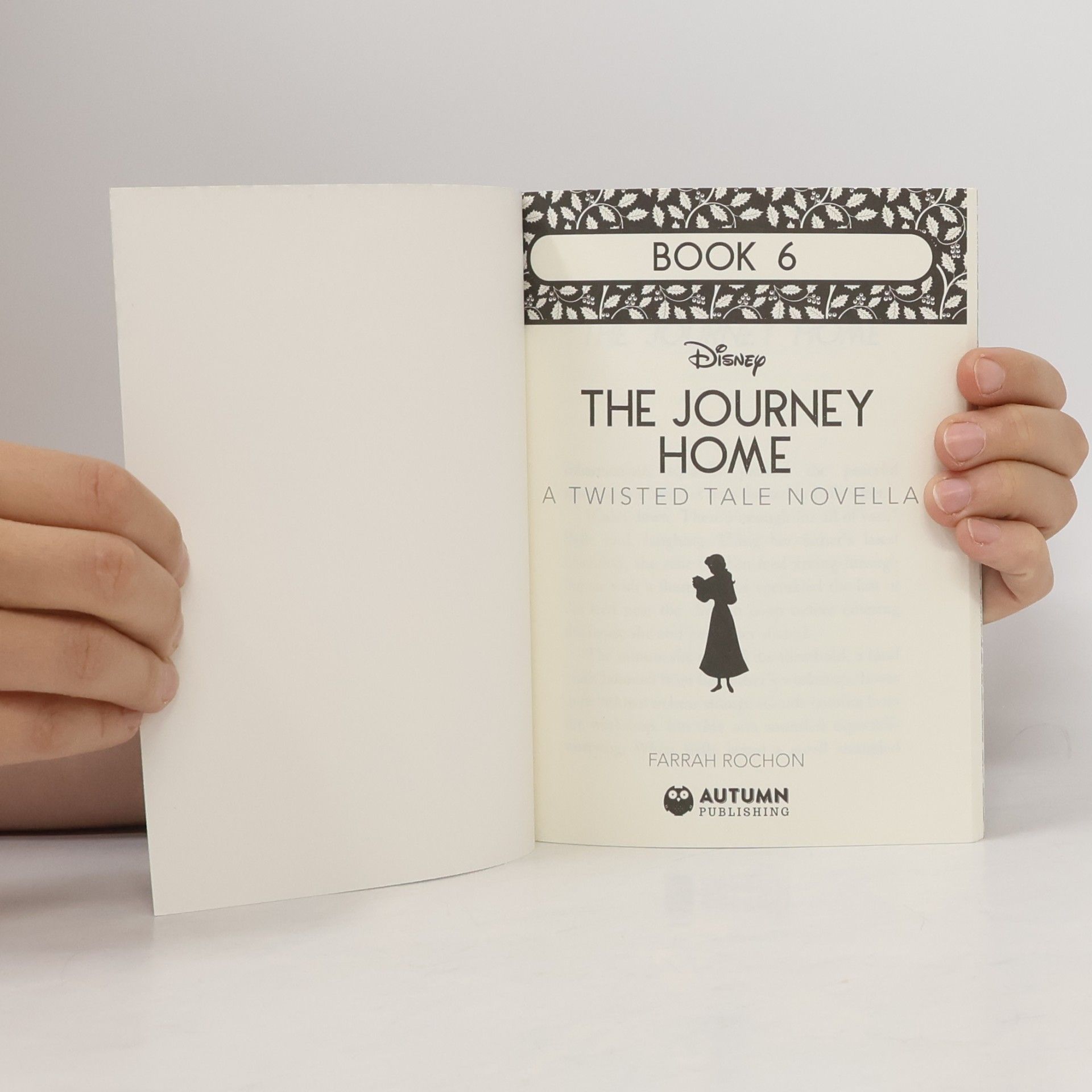 Farrah Rochon The Journey Home