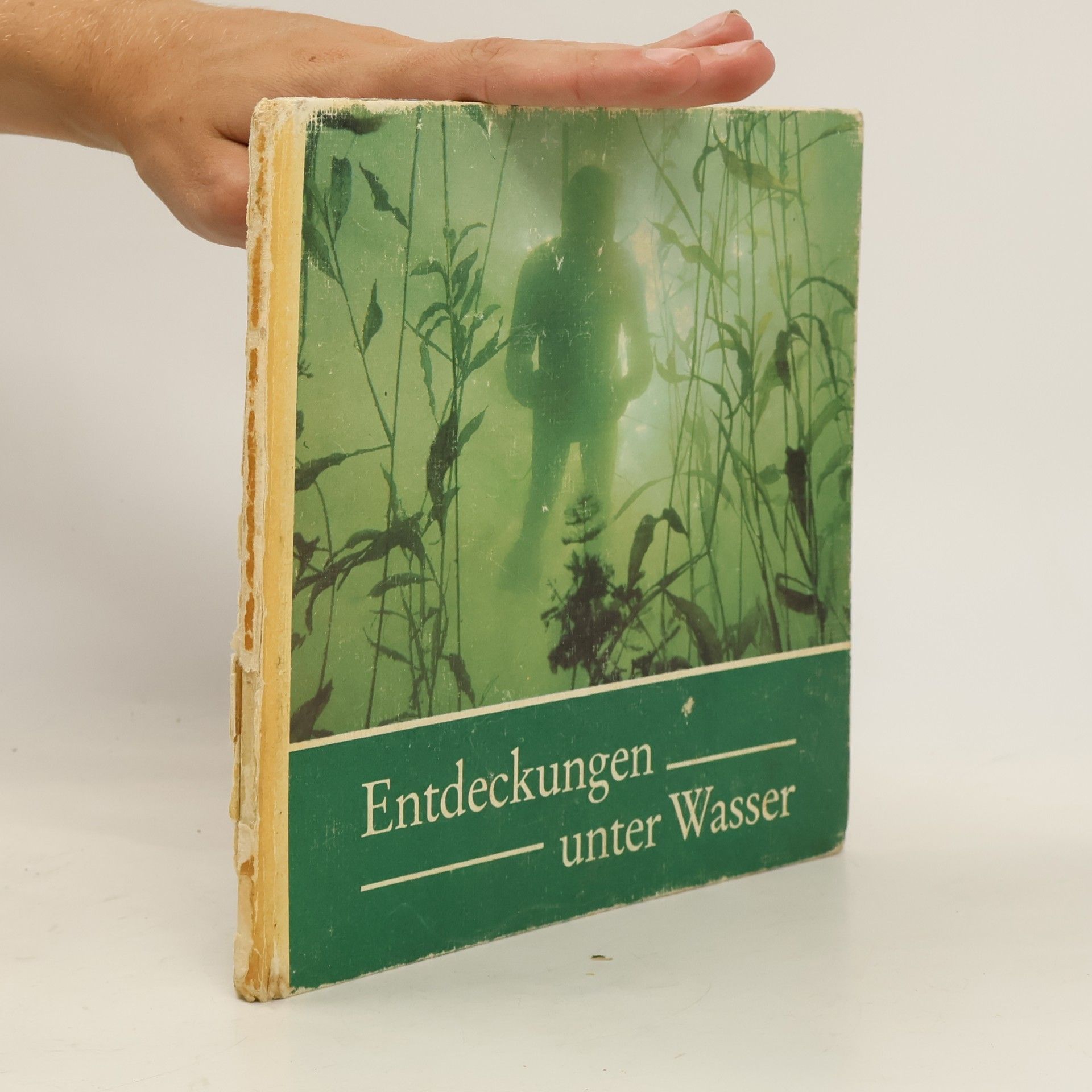Autorenkollektiv Entdeckungen unter Wasser