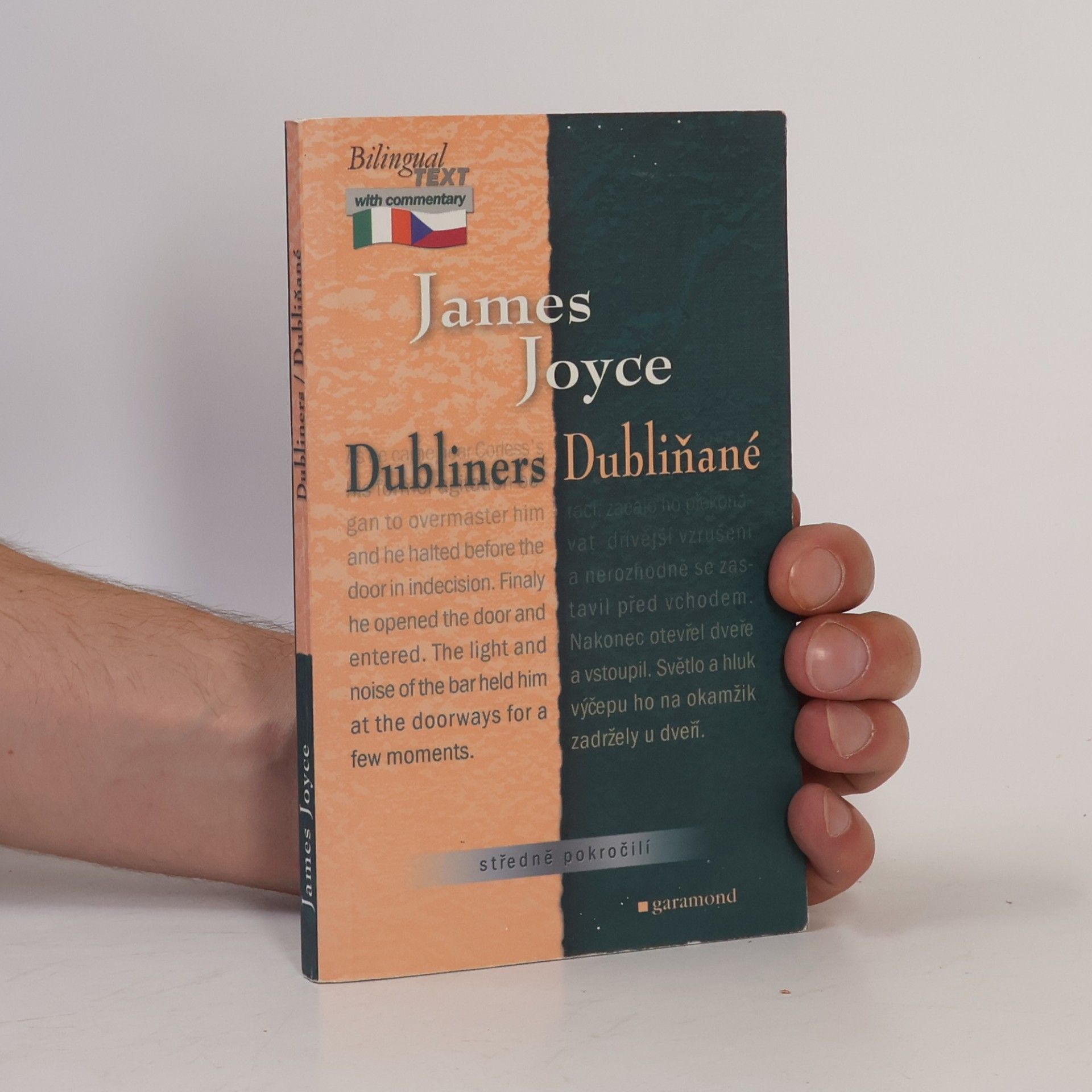 James Joyce Dubliners. Dubliňané