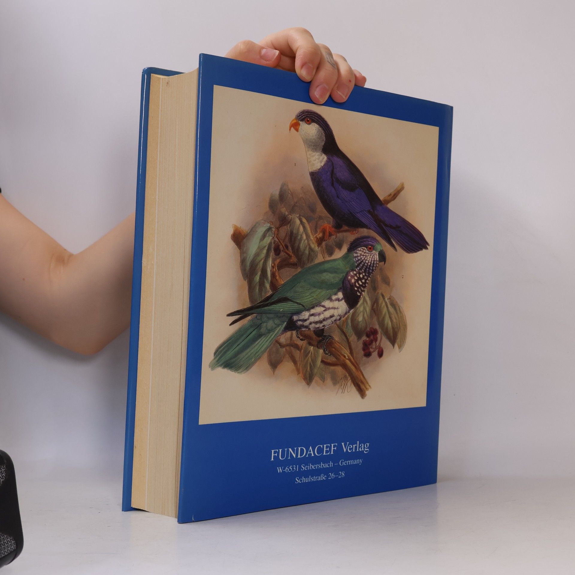 St George Jackson Mivart A Monograph of the Lories, Or Brush-tongued Parrots, Composing the Family Loriidae