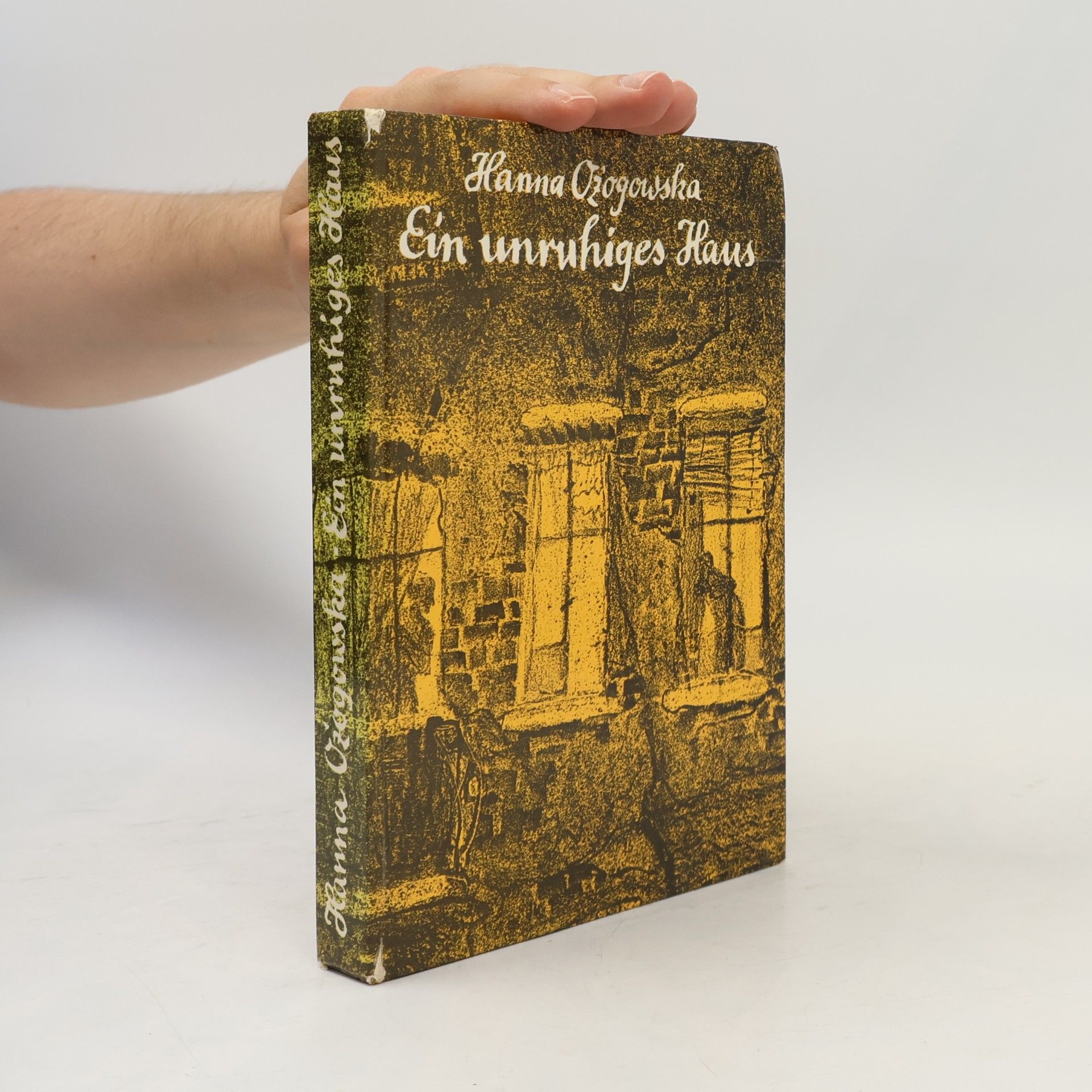 Hanna Ożogowska Ein unruhiges Haus
