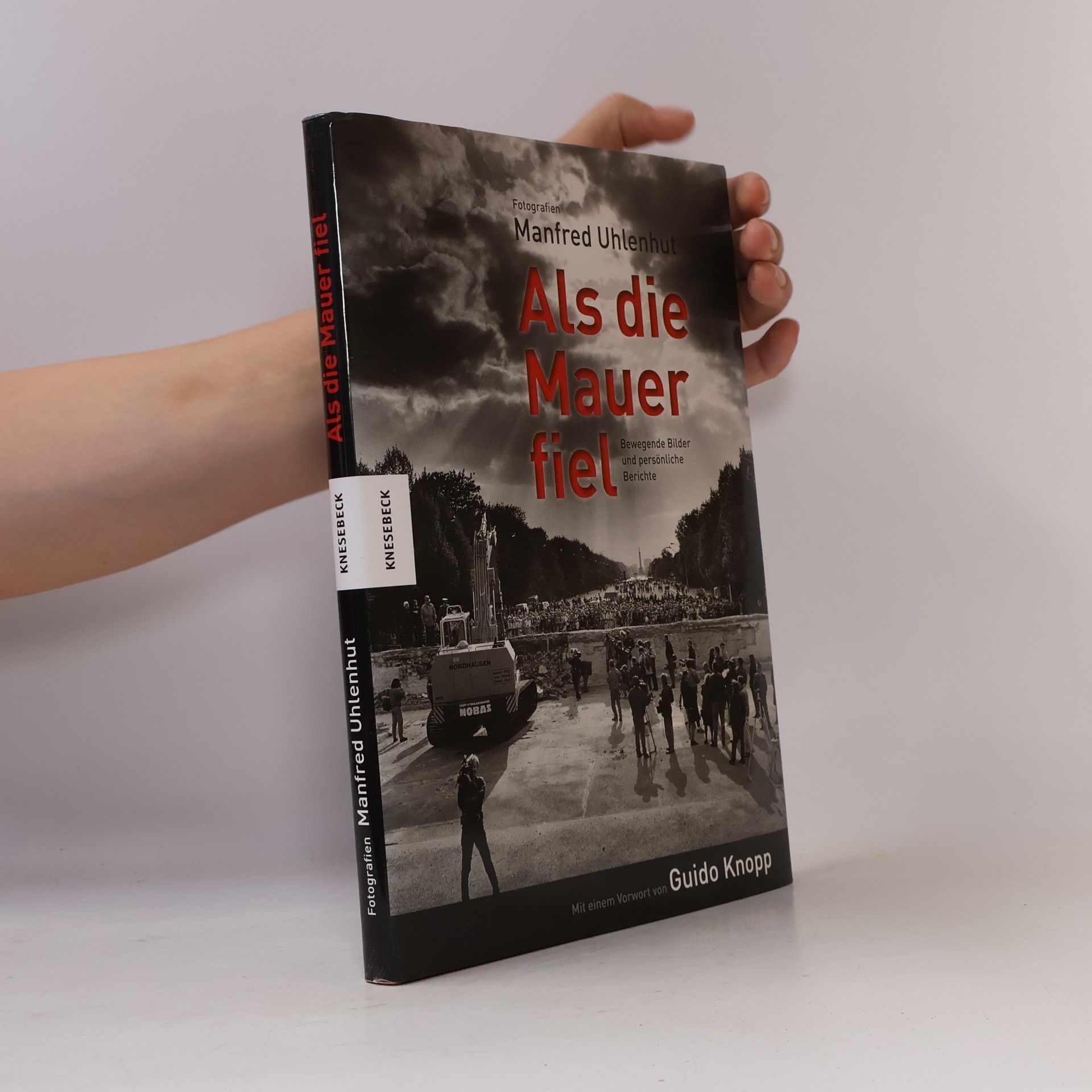 Manfred Uhlenhut Als die Mauer fiel