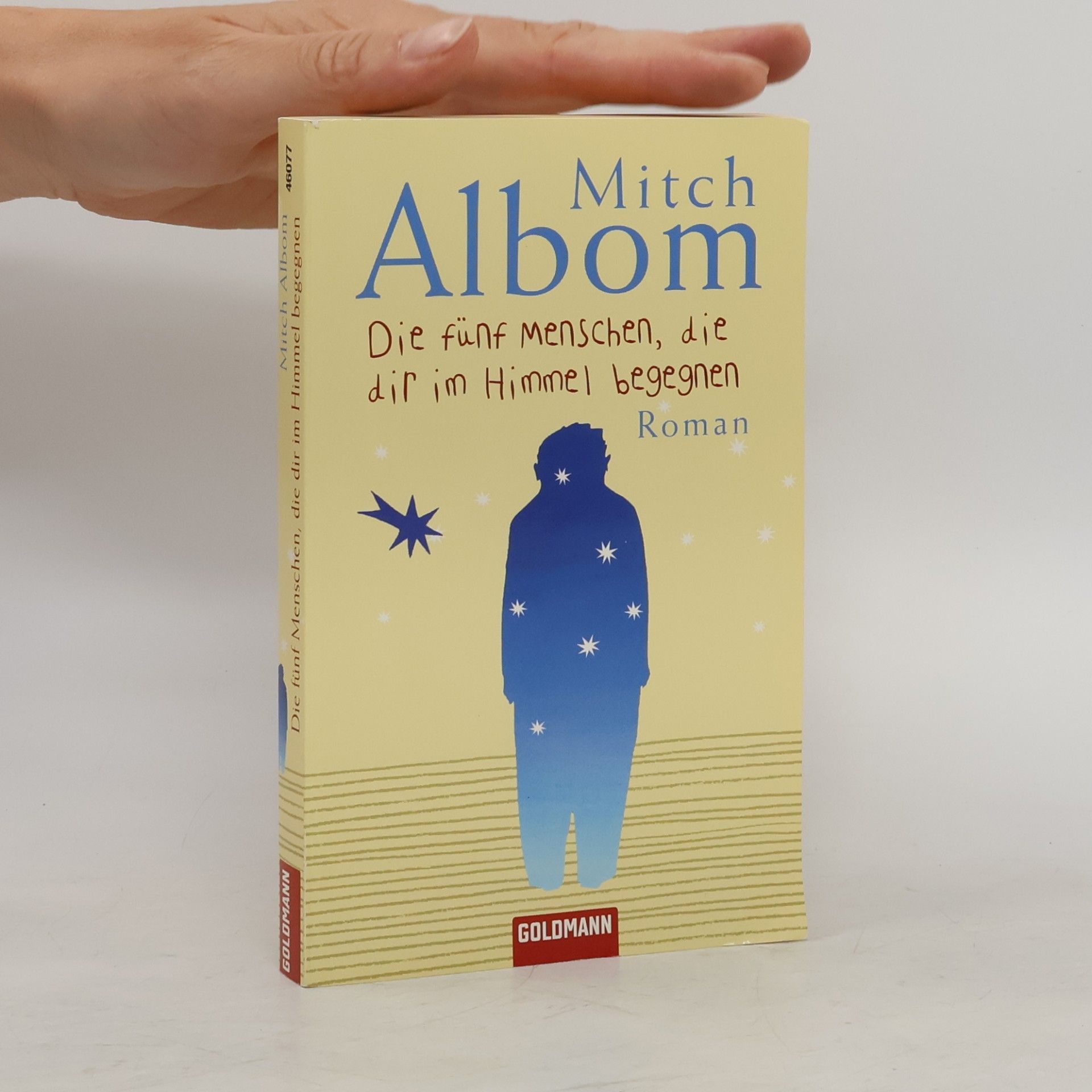 Mitch Albom Die fünf Menschen, die dir im Himmel begegnen