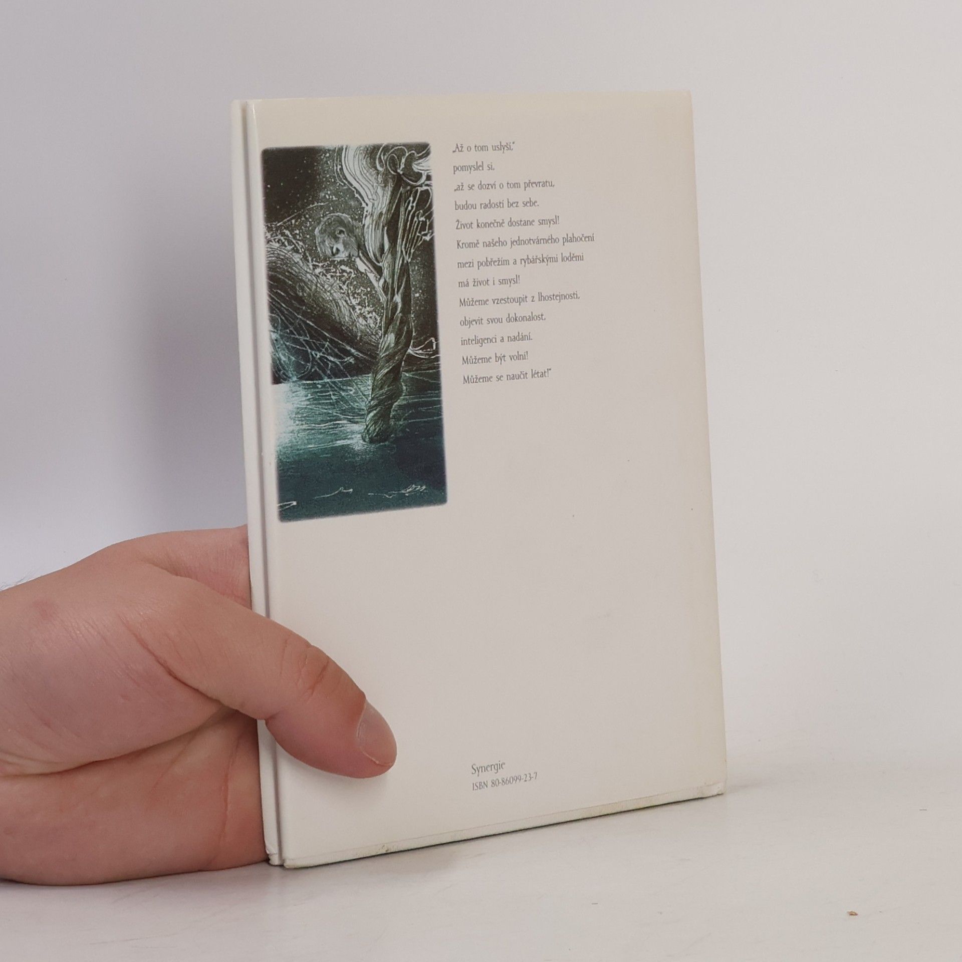 Richard Bach Jonathan Livingston: Racek