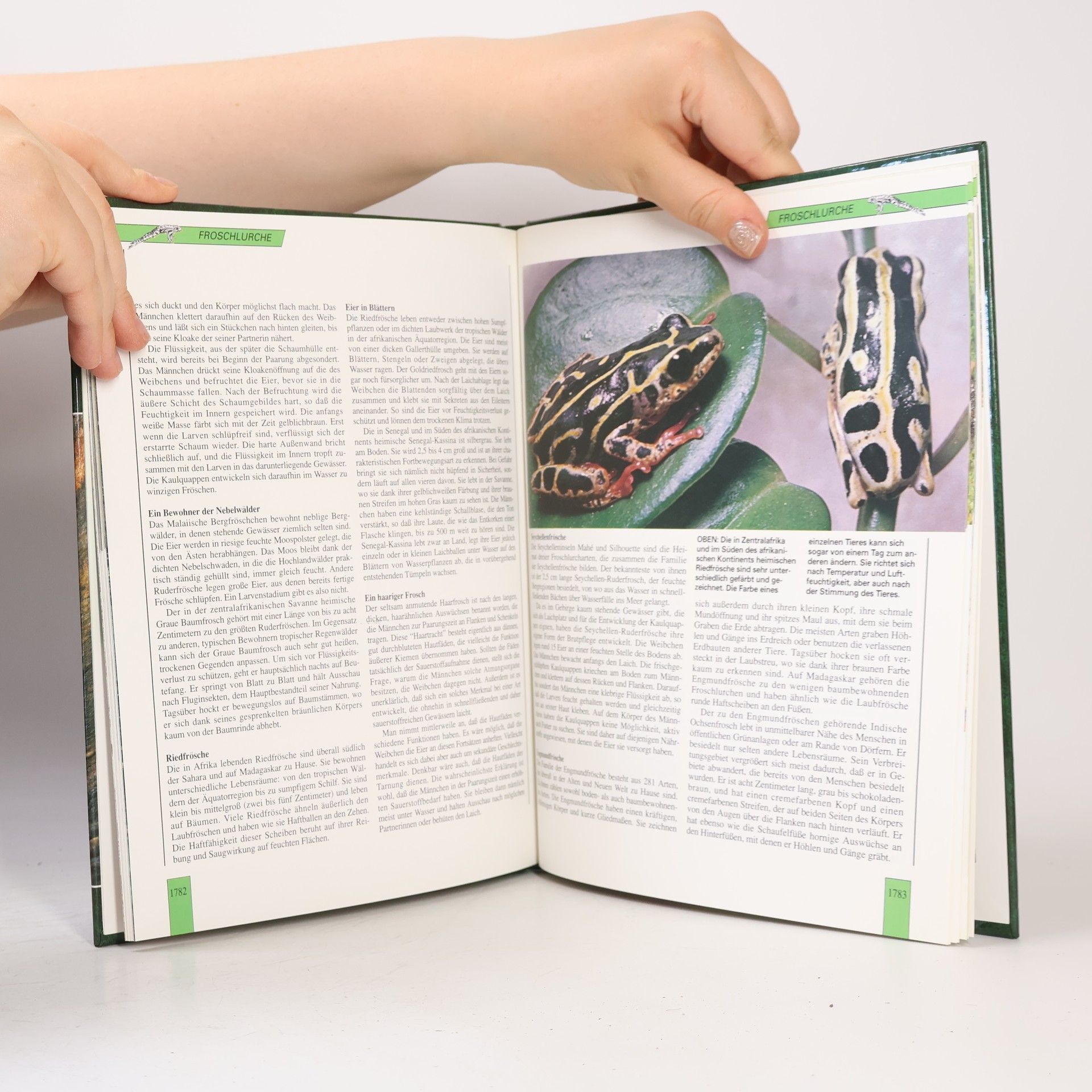 kolektiv Lebendiges Tiereich. Die neue Enzyklopedie in Farbe. 30