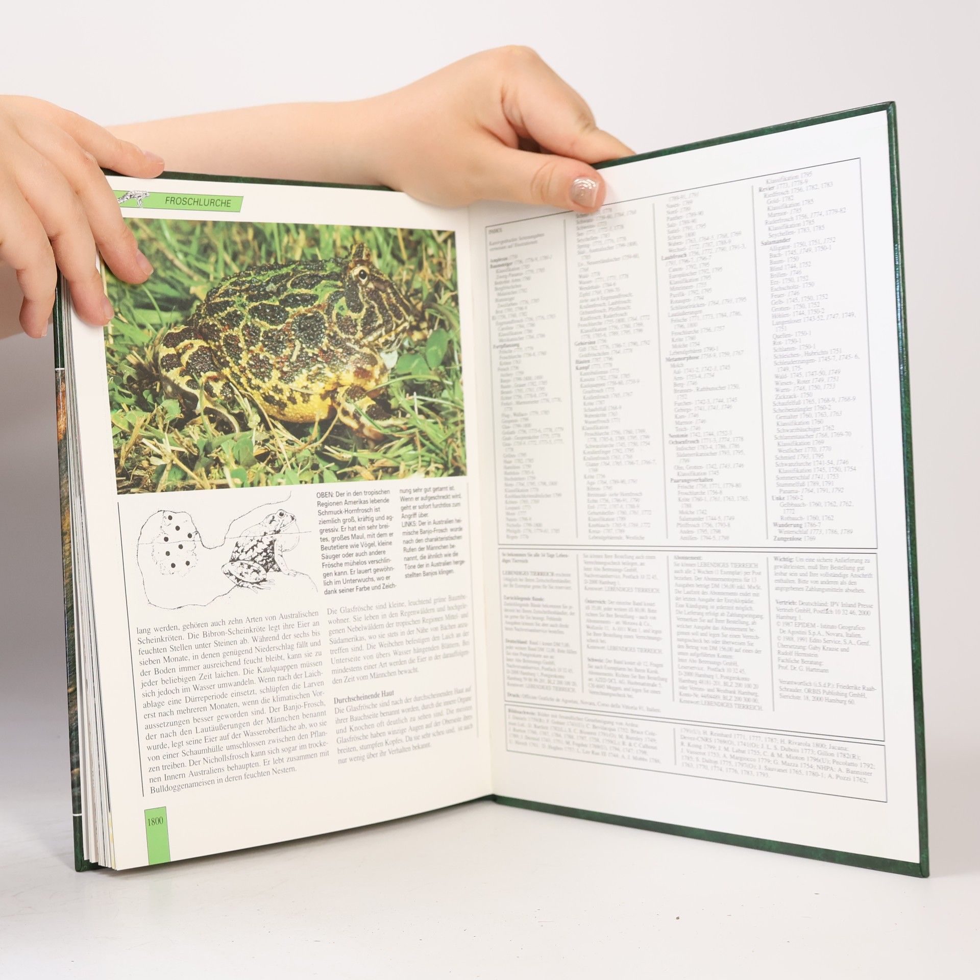 kolektiv Lebendiges Tiereich. Die neue Enzyklopedie in Farbe. 30