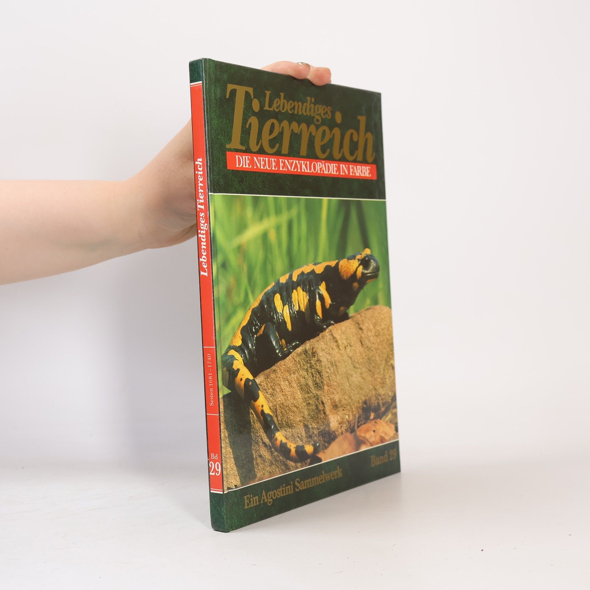 Autorenkollektiv Lebendiges Tierreich 29