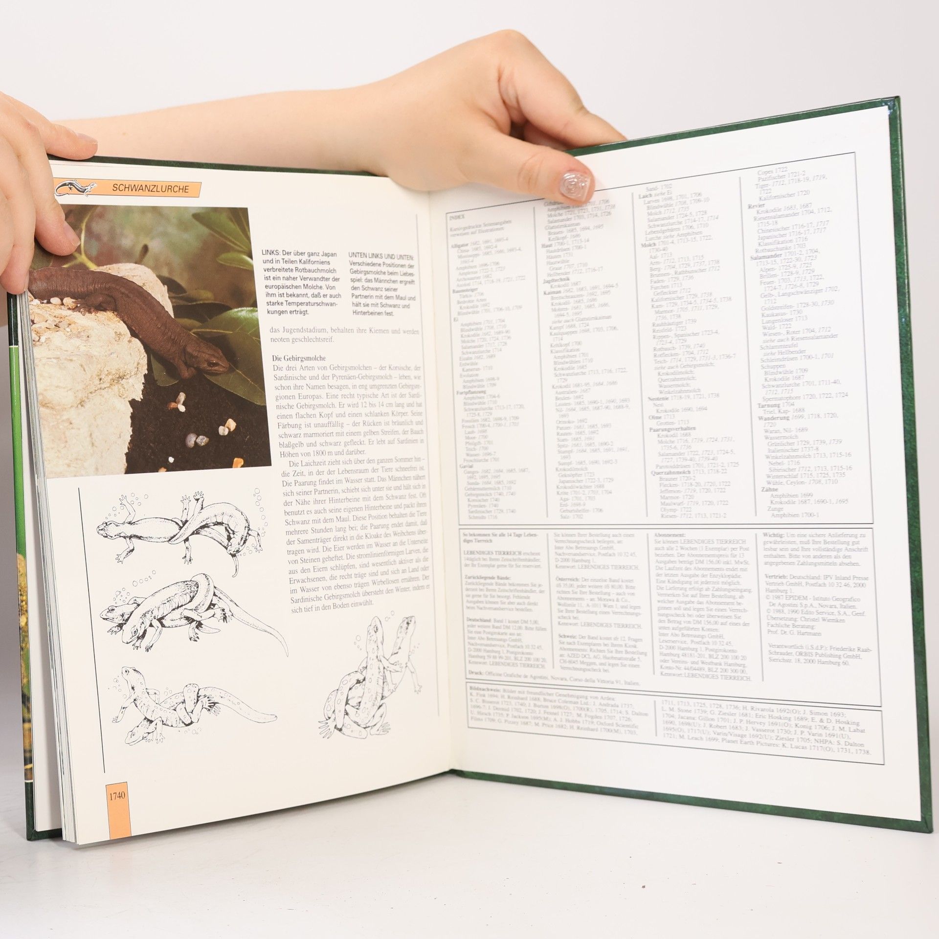 Autorenkollektiv Lebendiges Tierreich 29