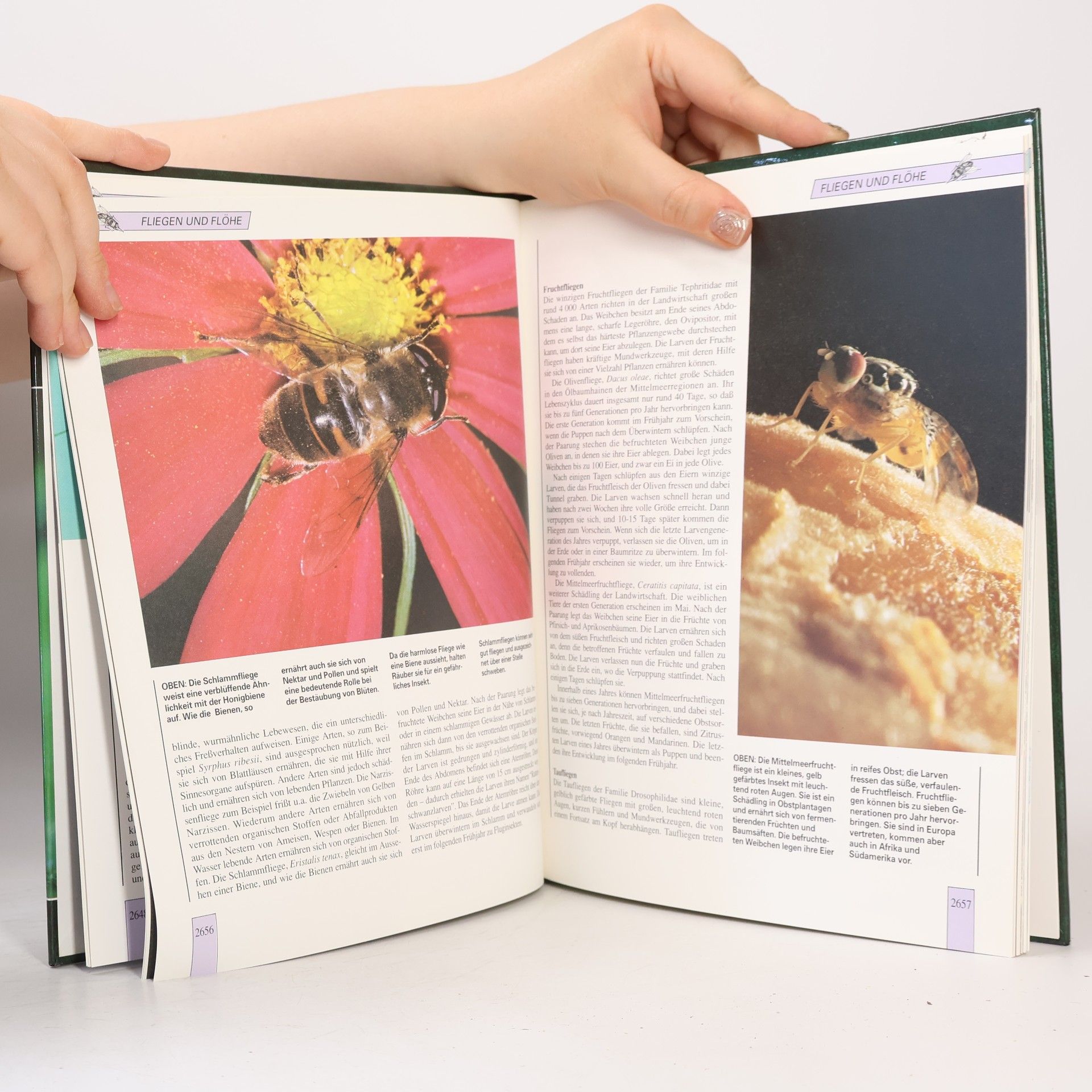 kolektiv Lebendiges Tierreich. Die Neue Enzyklopadie in Farbe. Band 45