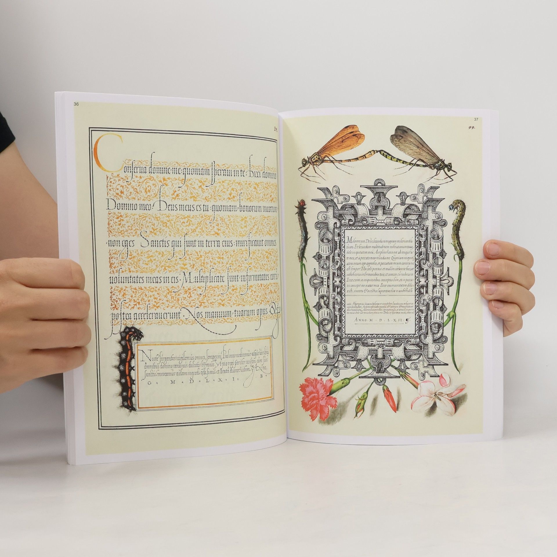 Georg Bocskay The Codex Revival: Mira Calligraphiae Monumenta