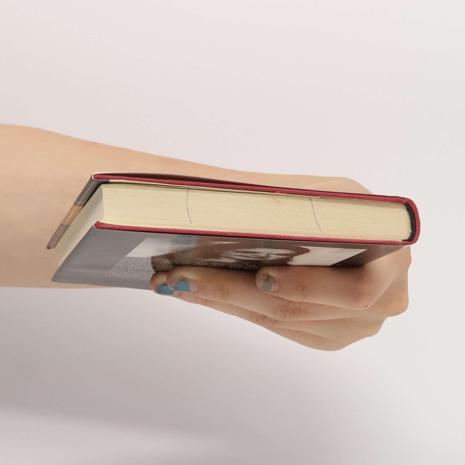 Amélie Nothomb Die Reinheit des Mörders