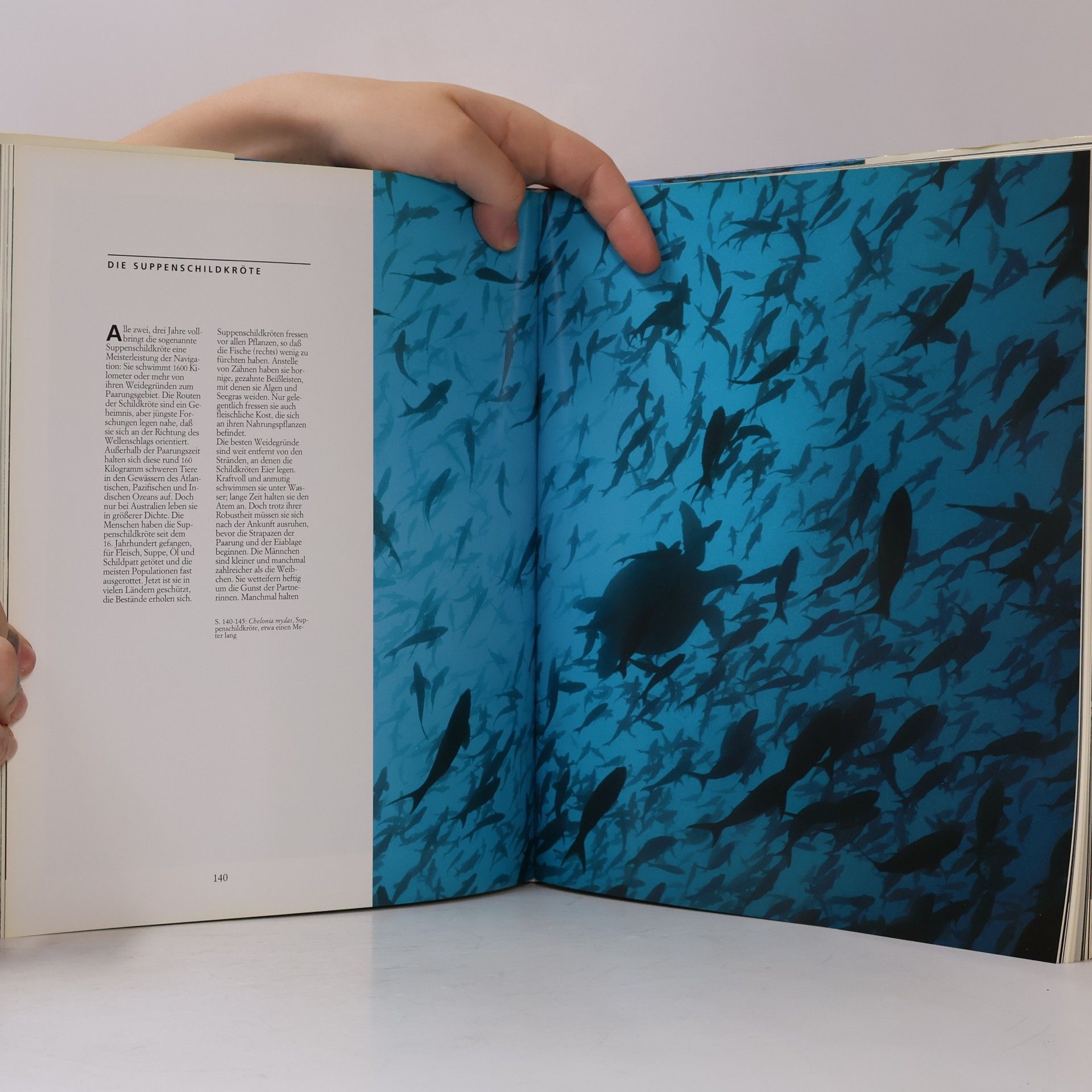 der National Geographic Society Ozeane