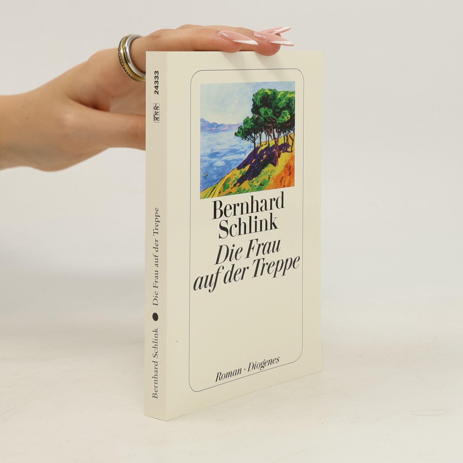 Bernhard Schlink Die Frau auf der Treppe