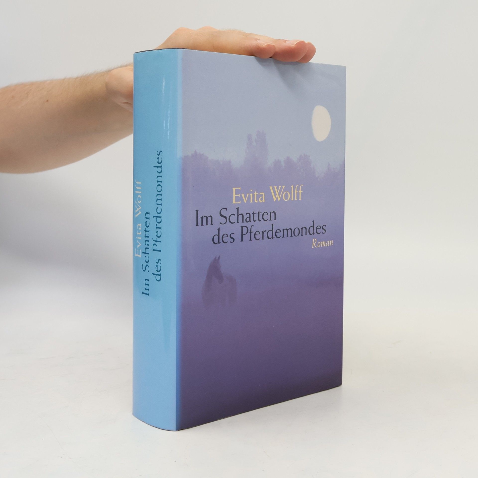 Evita Wolff Im Schatten des Pferdemondes
