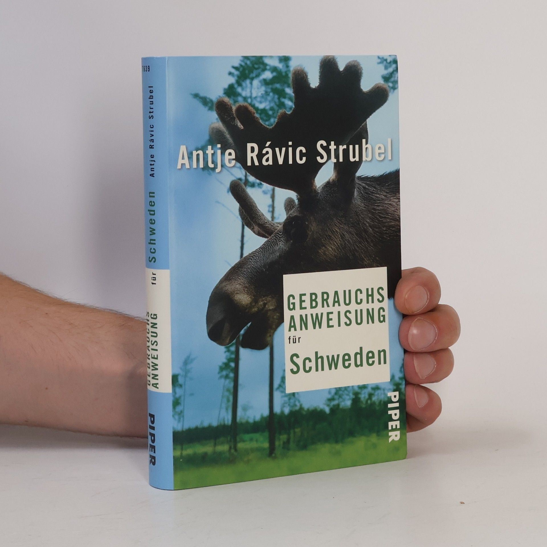 Antje Rávik Strubel Gebrauchsanweisung für Schweden