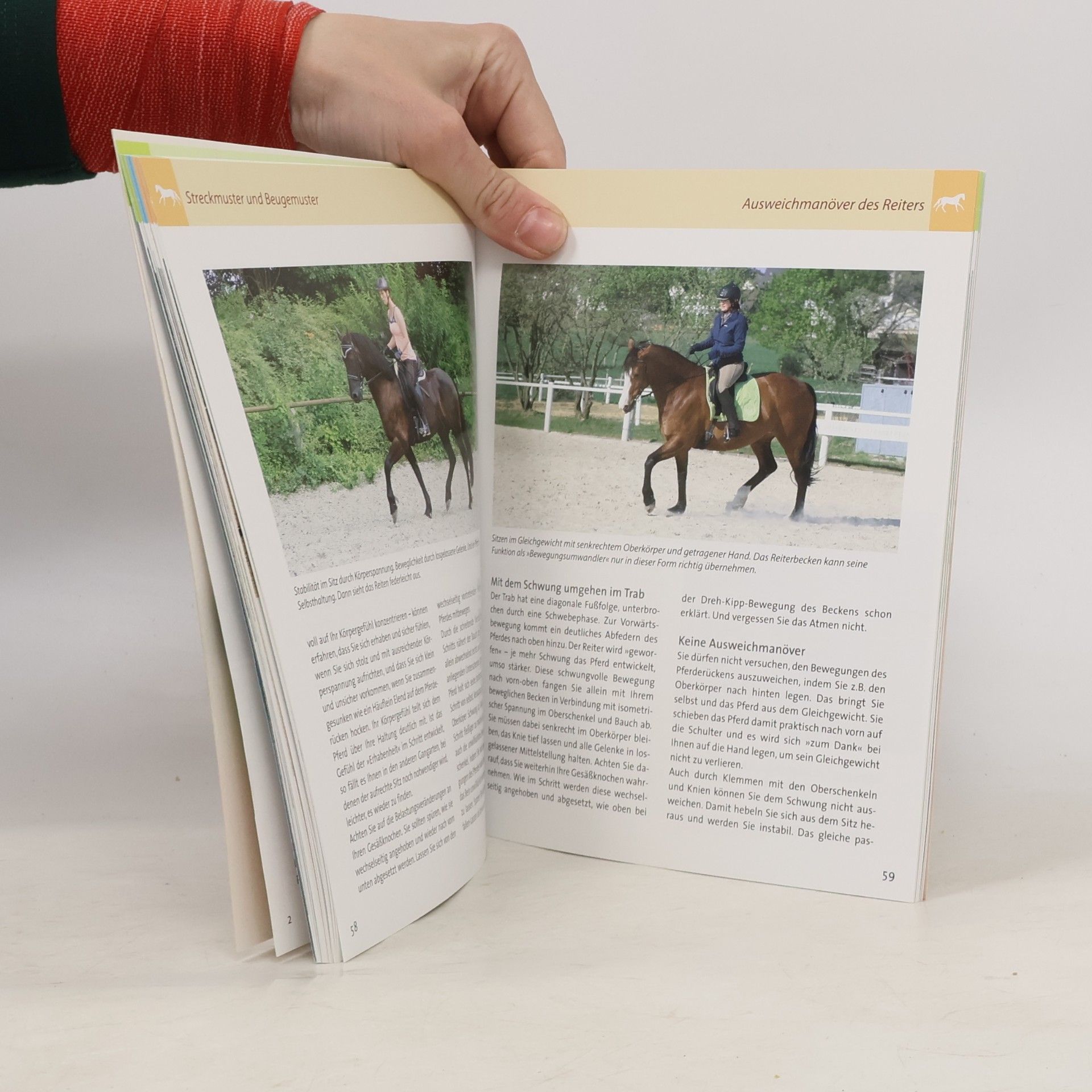 Kerstin Diacont Die Reitschule: Grundkurs Sitz und Hilfen