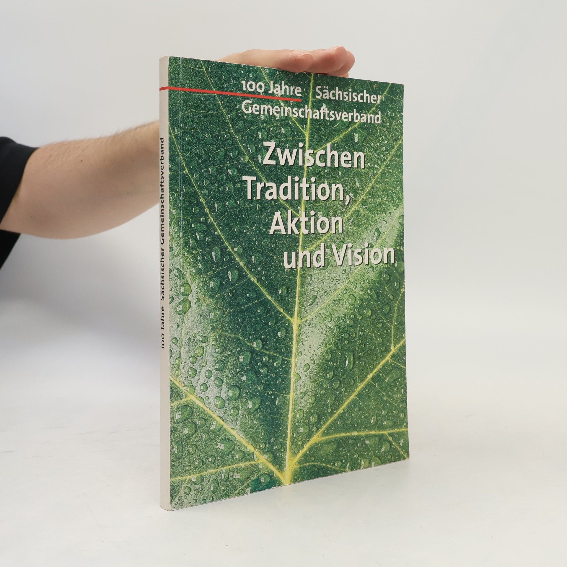 kolektiv 100 Jahre Sächsischer Gemeinschaftsverband