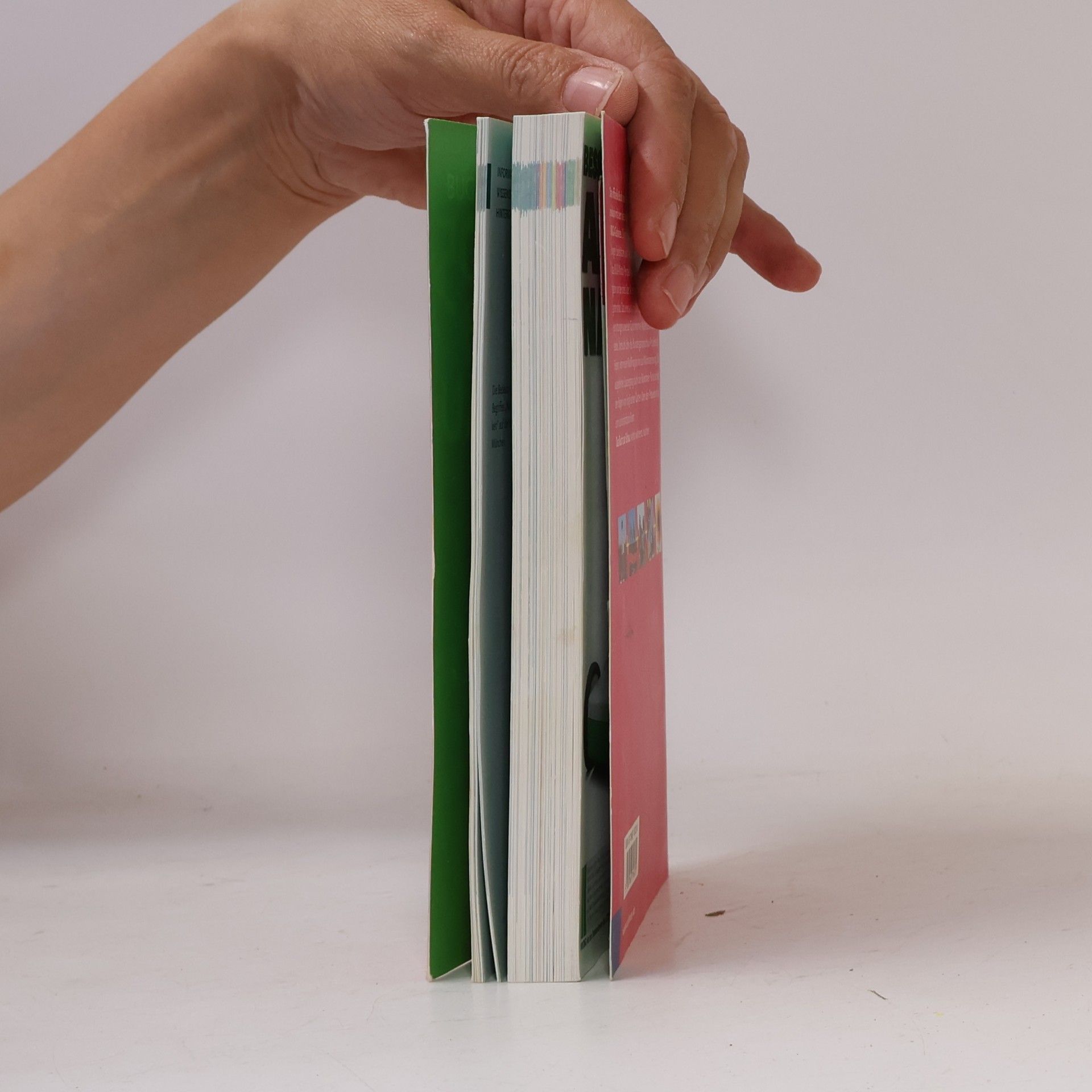 BUGA 05 - das Buch zur Schau