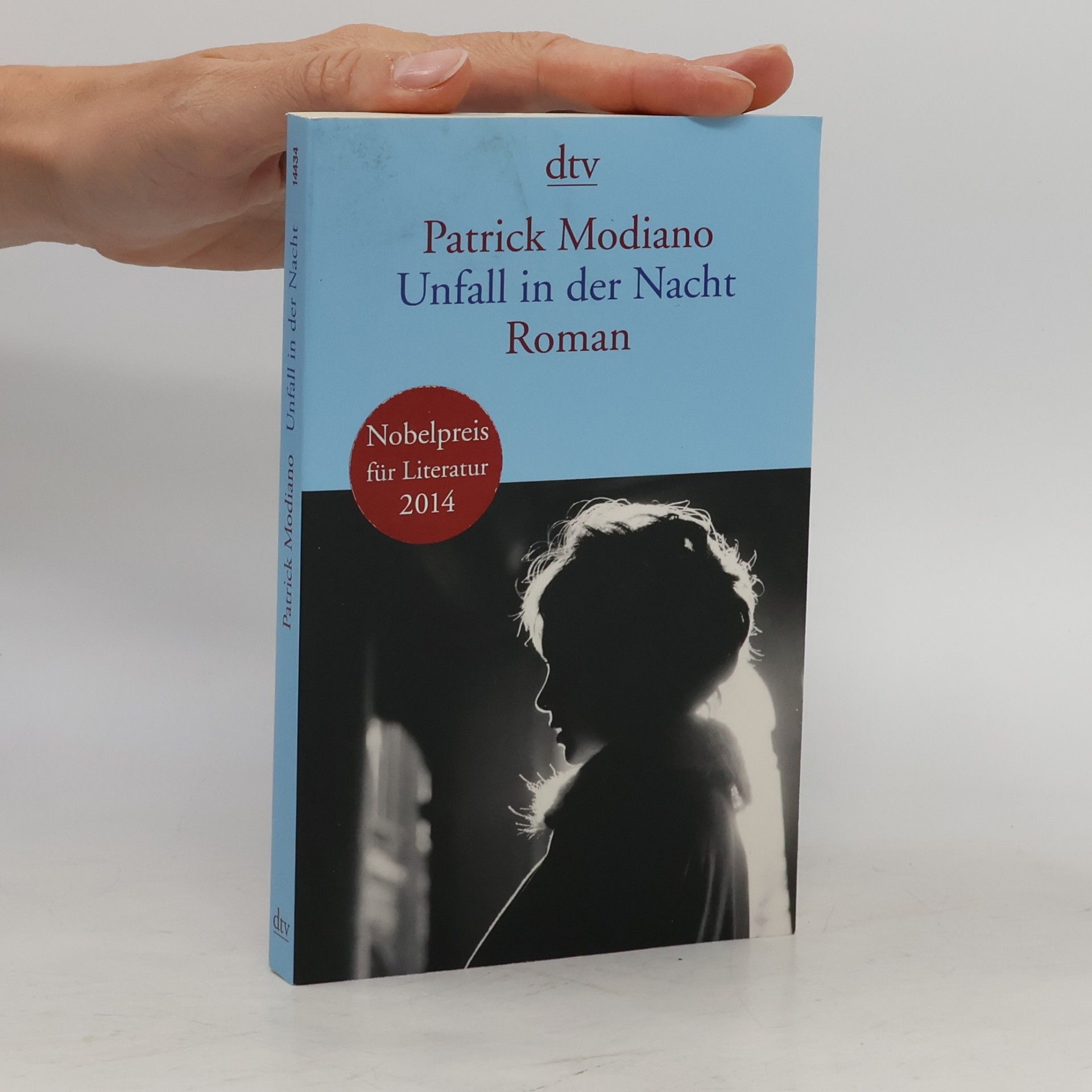 Patrick Modiano Unfall in der Nacht