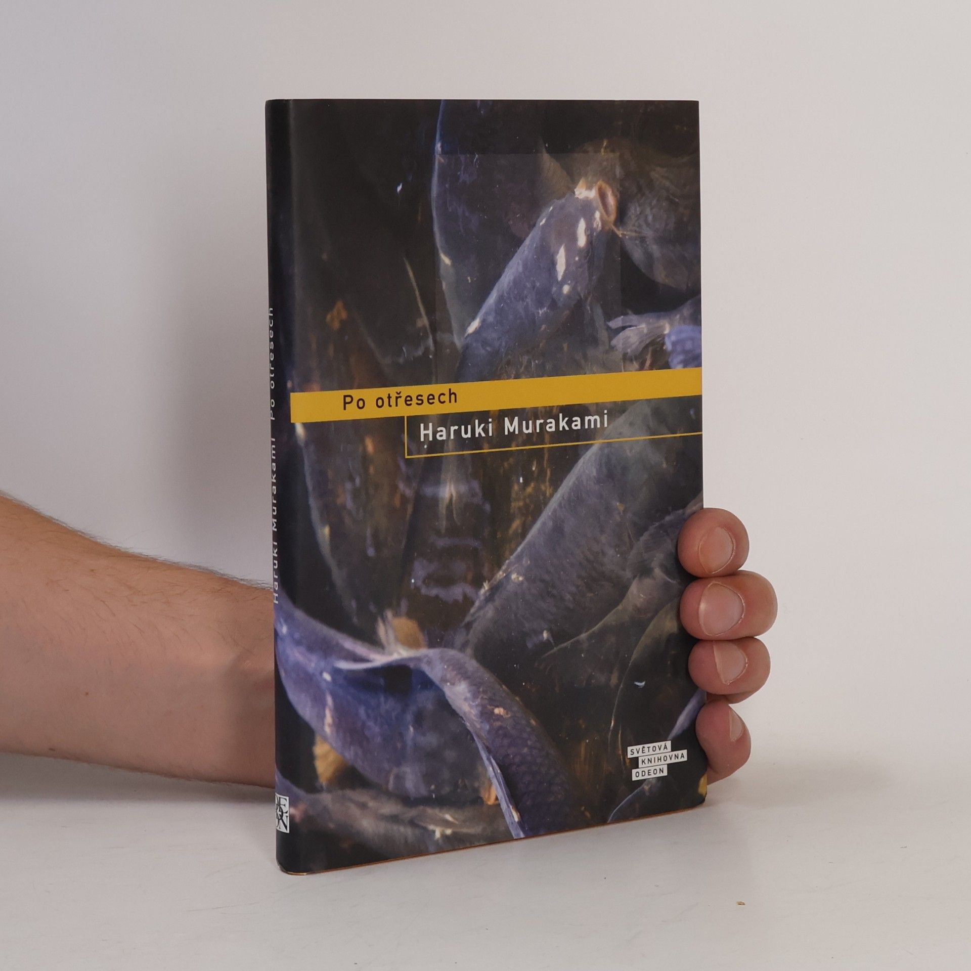 Haruki Murakami Po otřesech