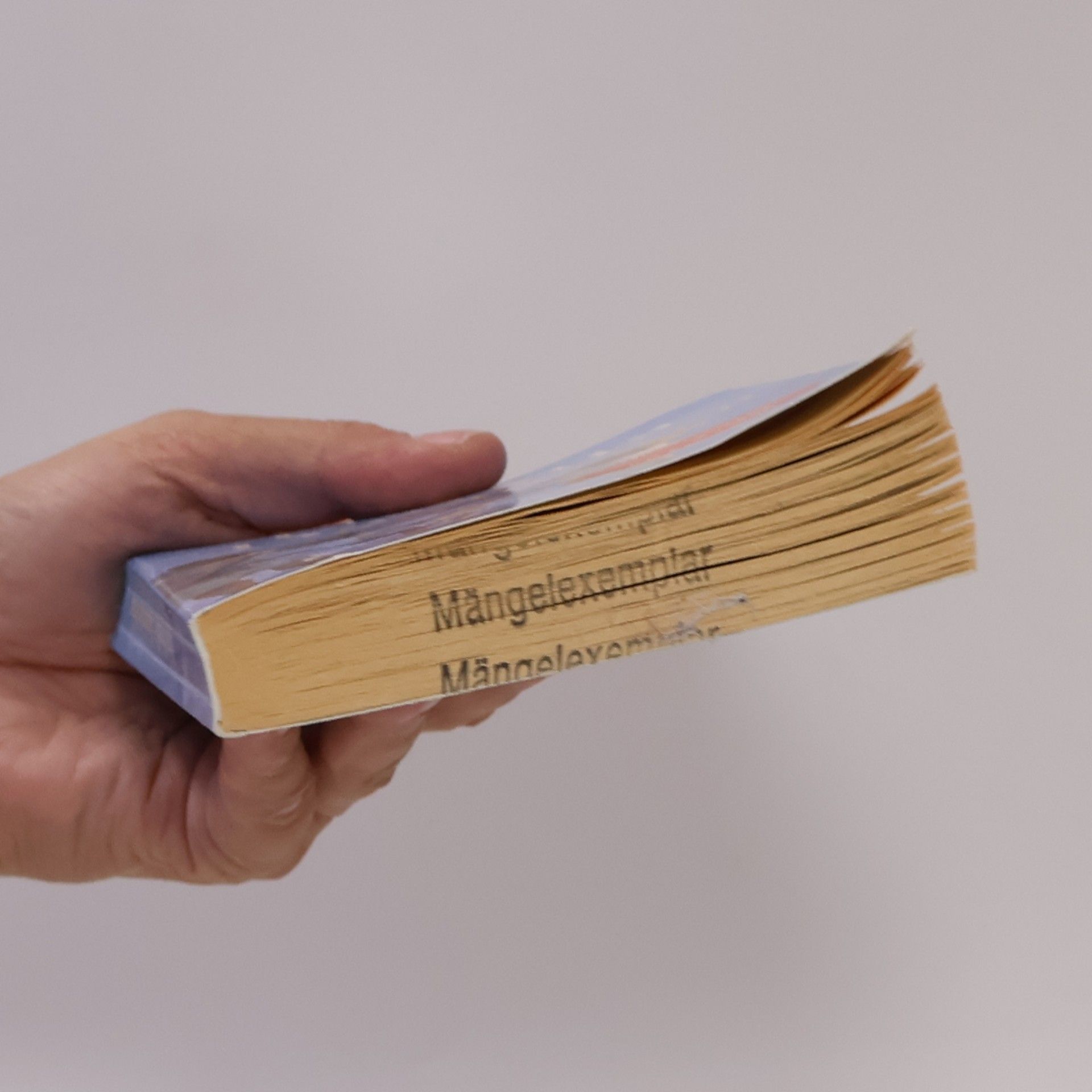 Utta Danella Familiengeschichten