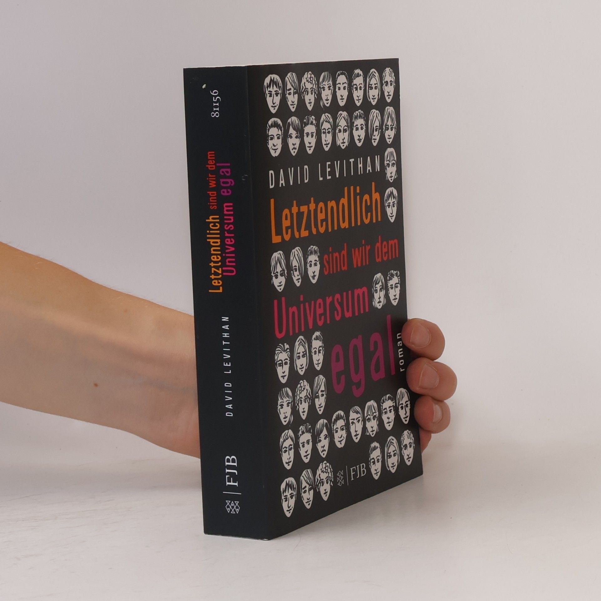 David Levithan Letztendlich sind wir dem Universum egal
