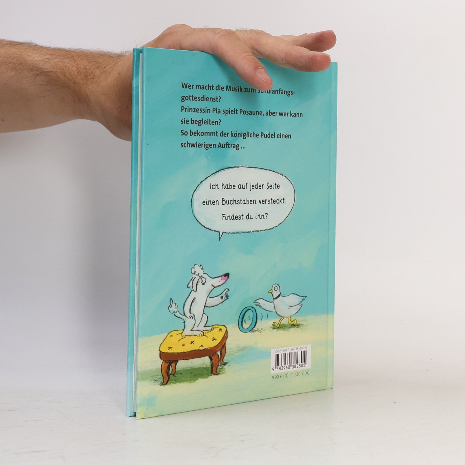 Katja Gehrmann Pudel, Pauken und ein Plan