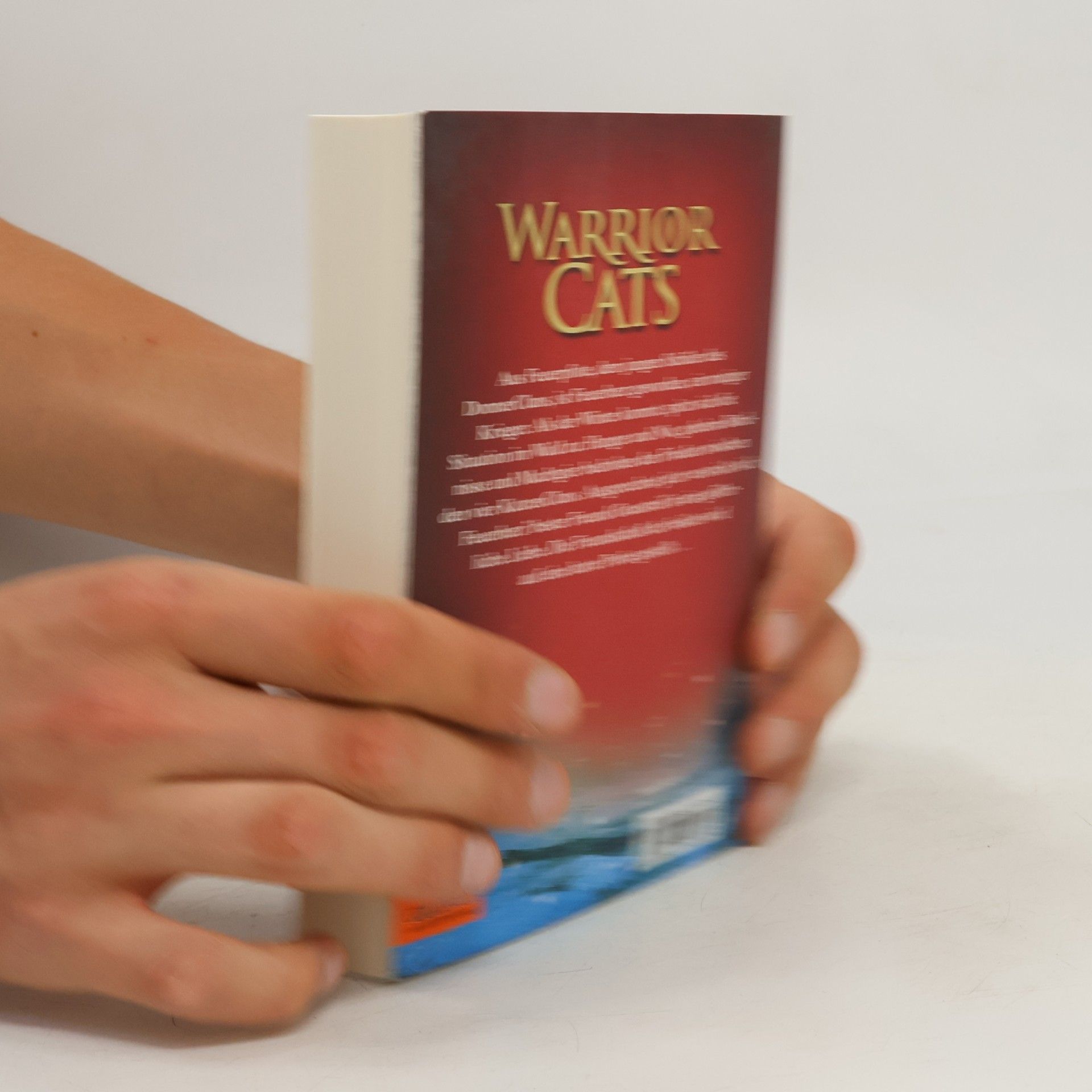 Erin Hunter Warrior Cats. Feuer und Eis