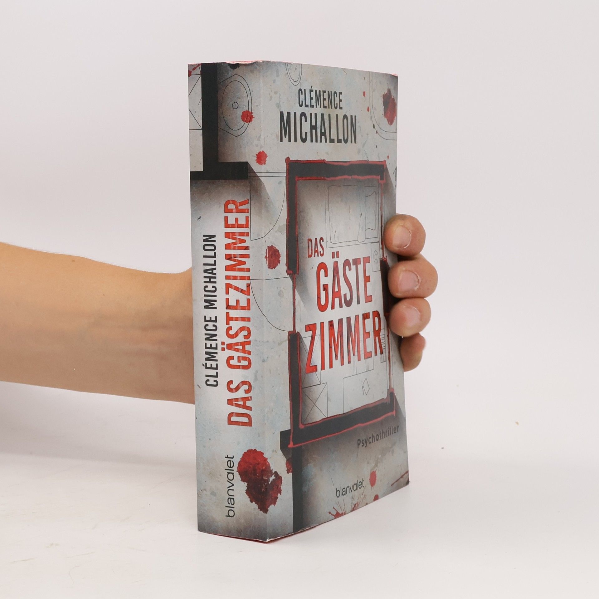 Clémence Michallon Das Gästezimmer