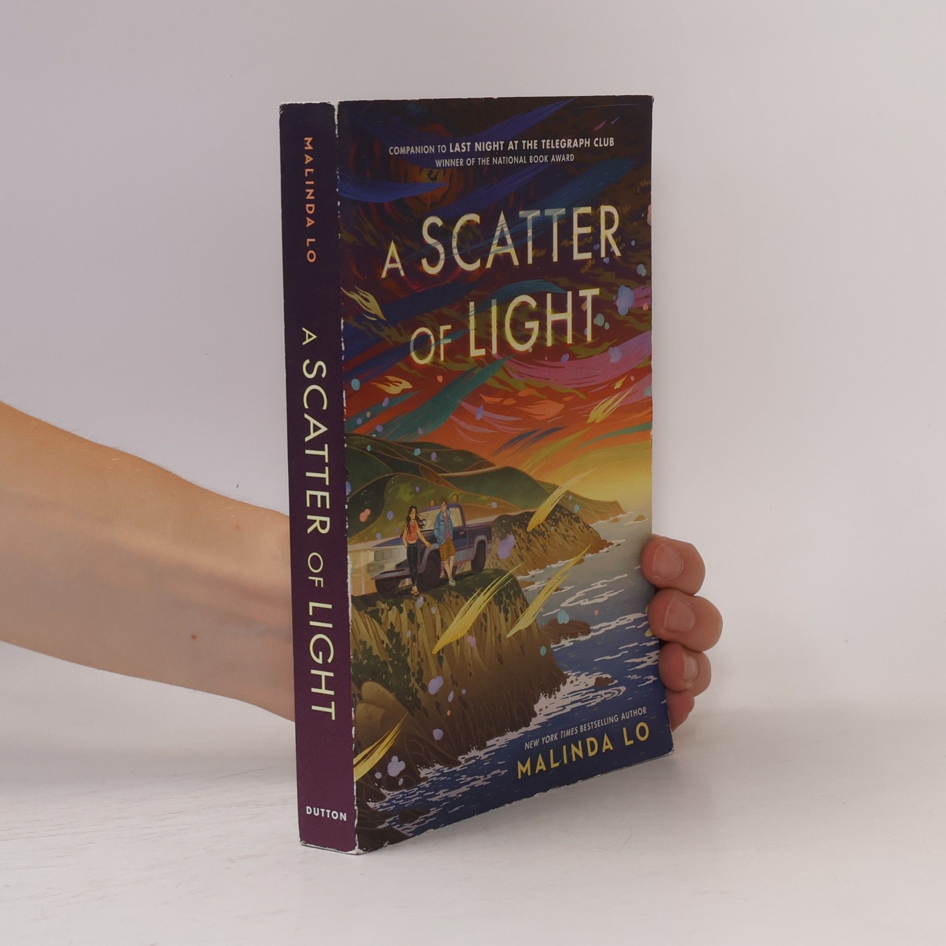 Malinda Lo A Scatter of Light