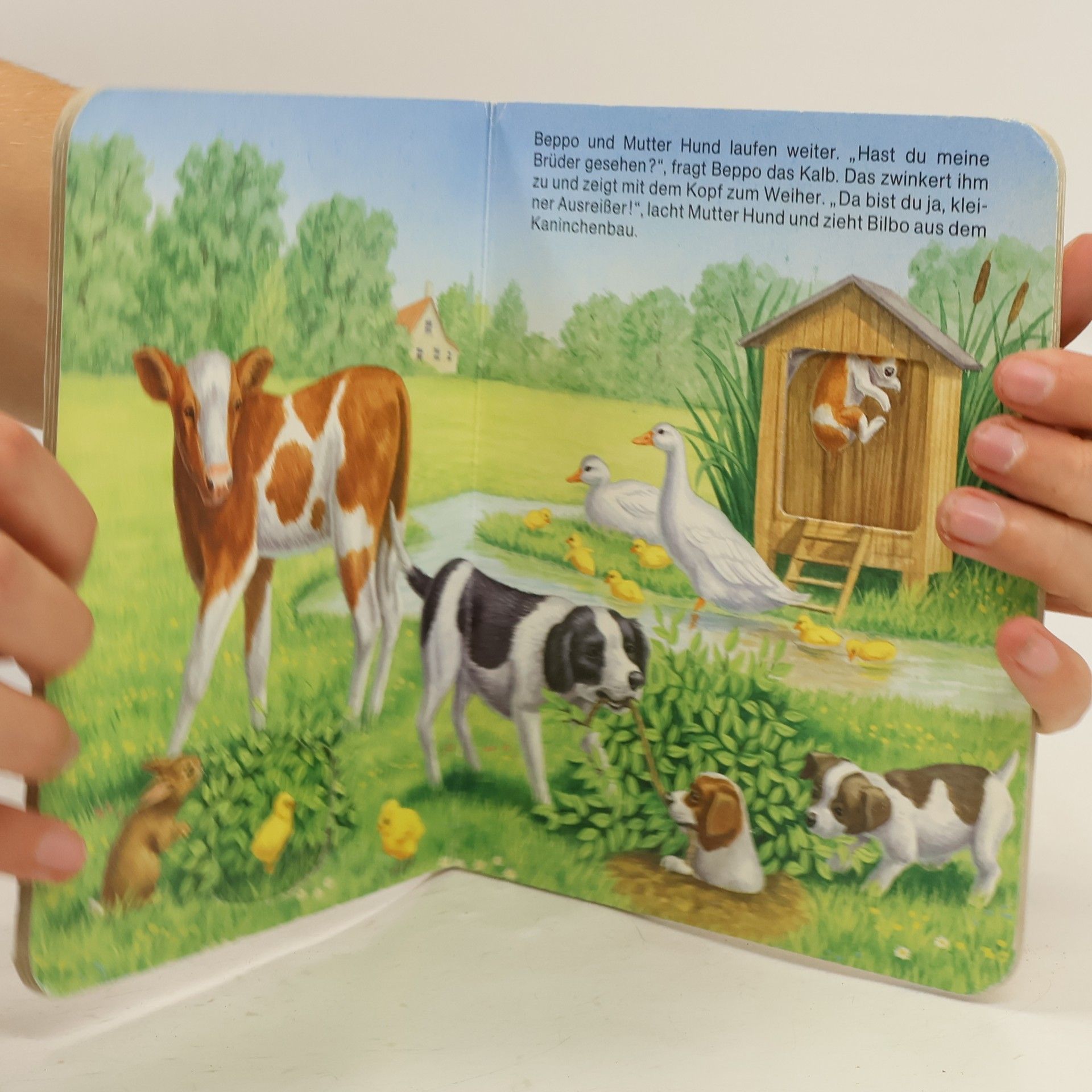 Bob Bampton Verspielte Hundekinder