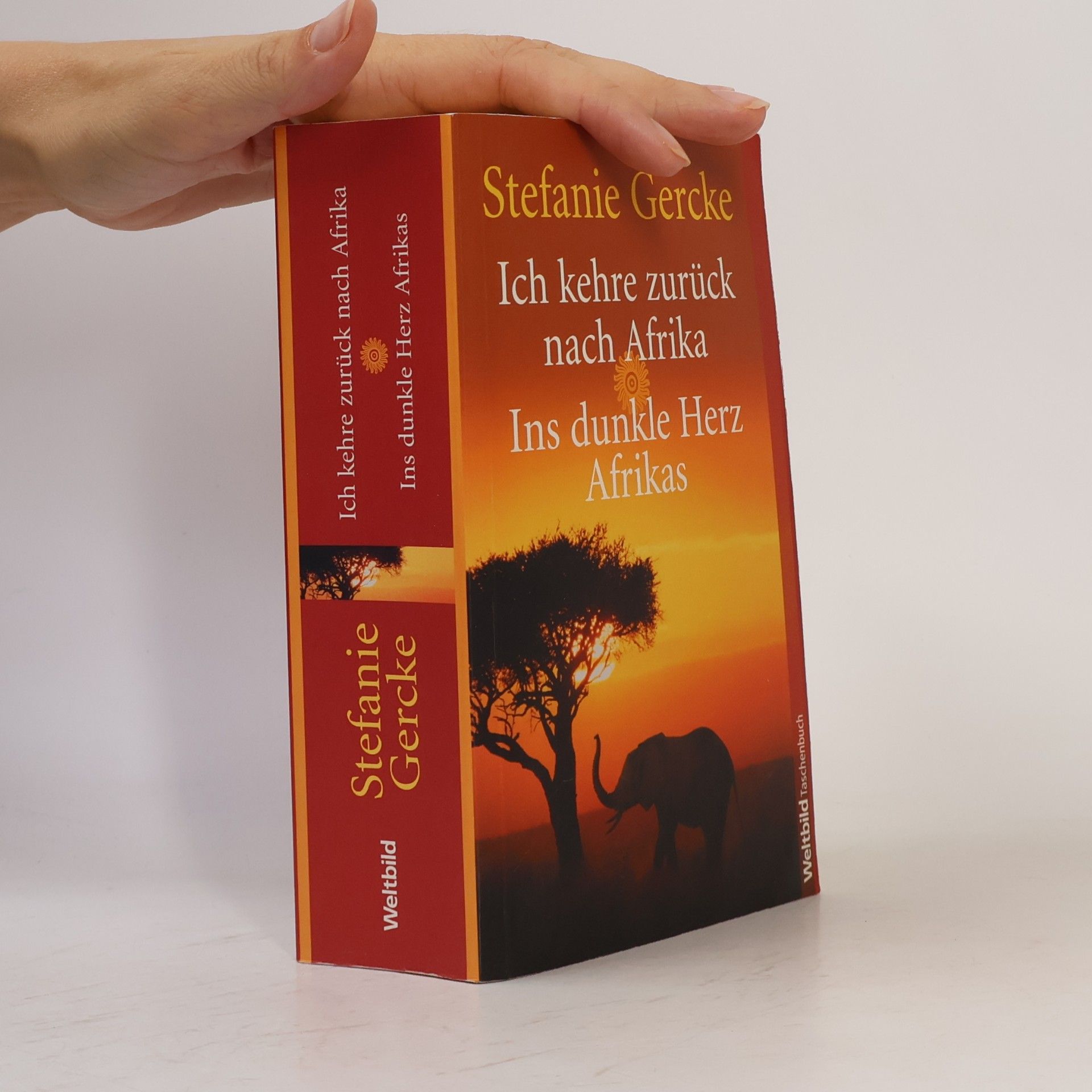 Stefanie Gercke Ich kehre zurück nach Afrika