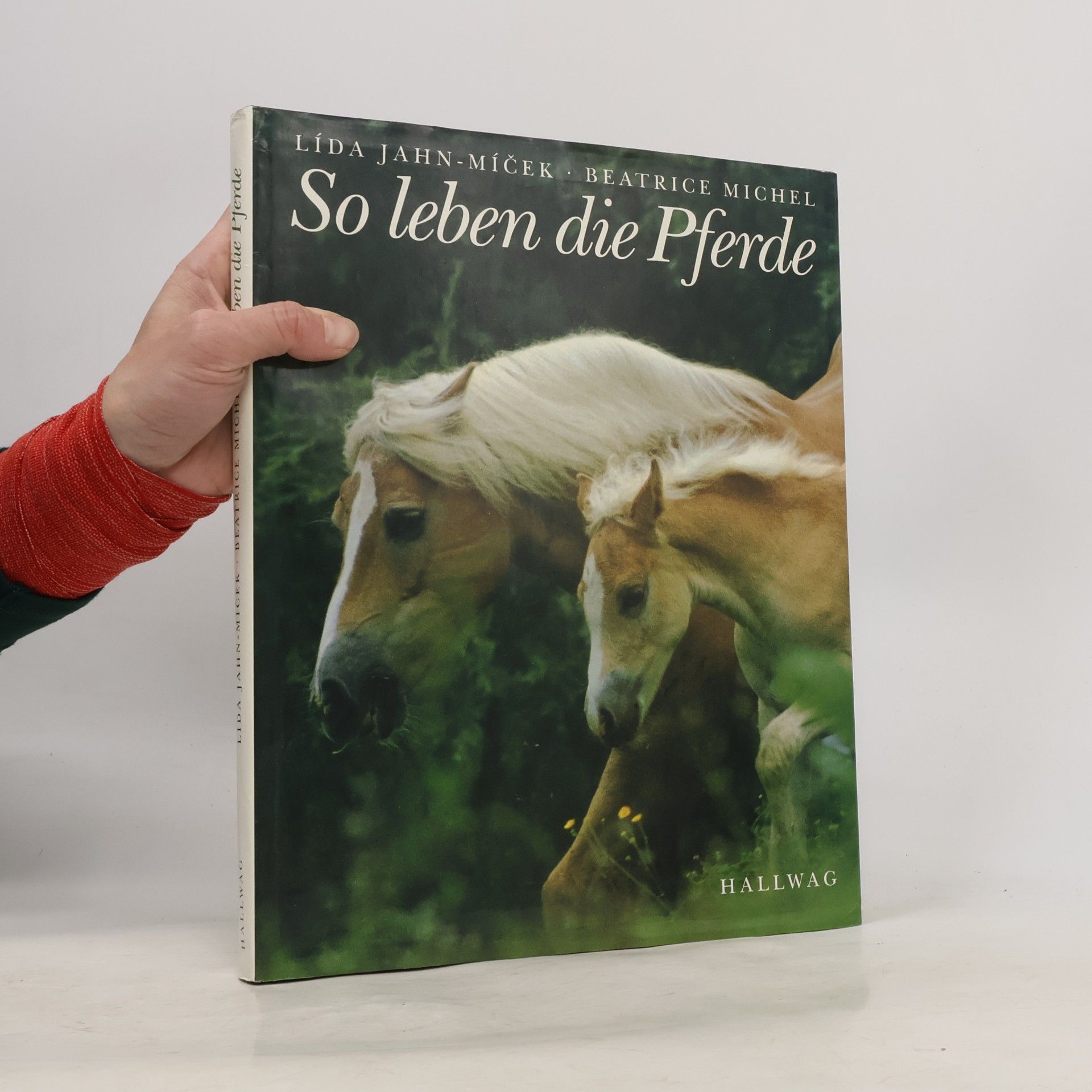 Li da Jahn Mi c. ek So leben die Pferde