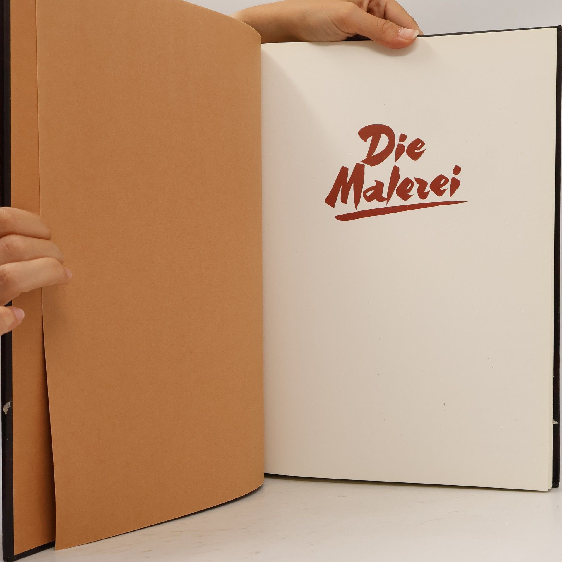 Werner Schabert Die Malerei 11. Impressionismus bis Symbolismus