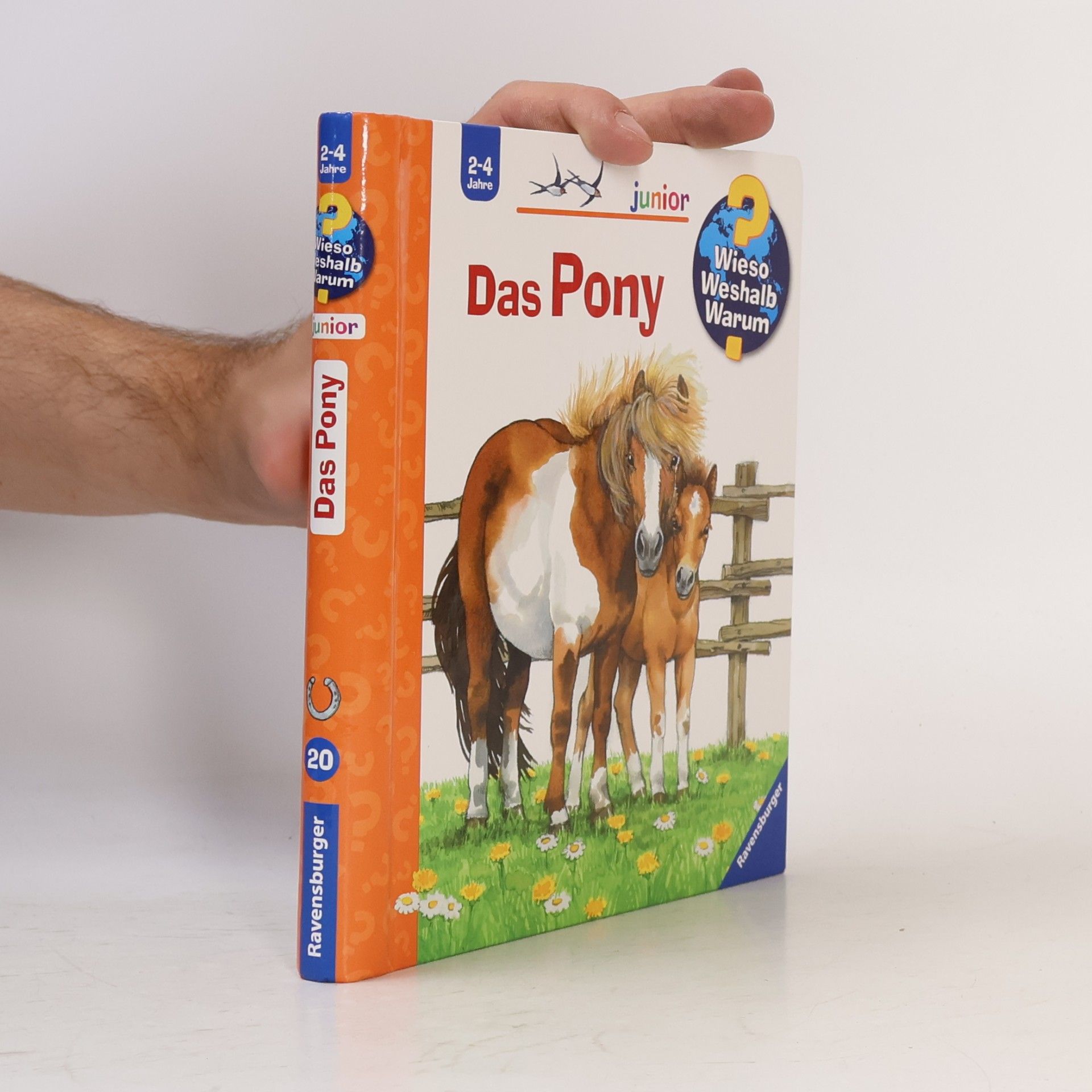 Thea Roß Das Pony