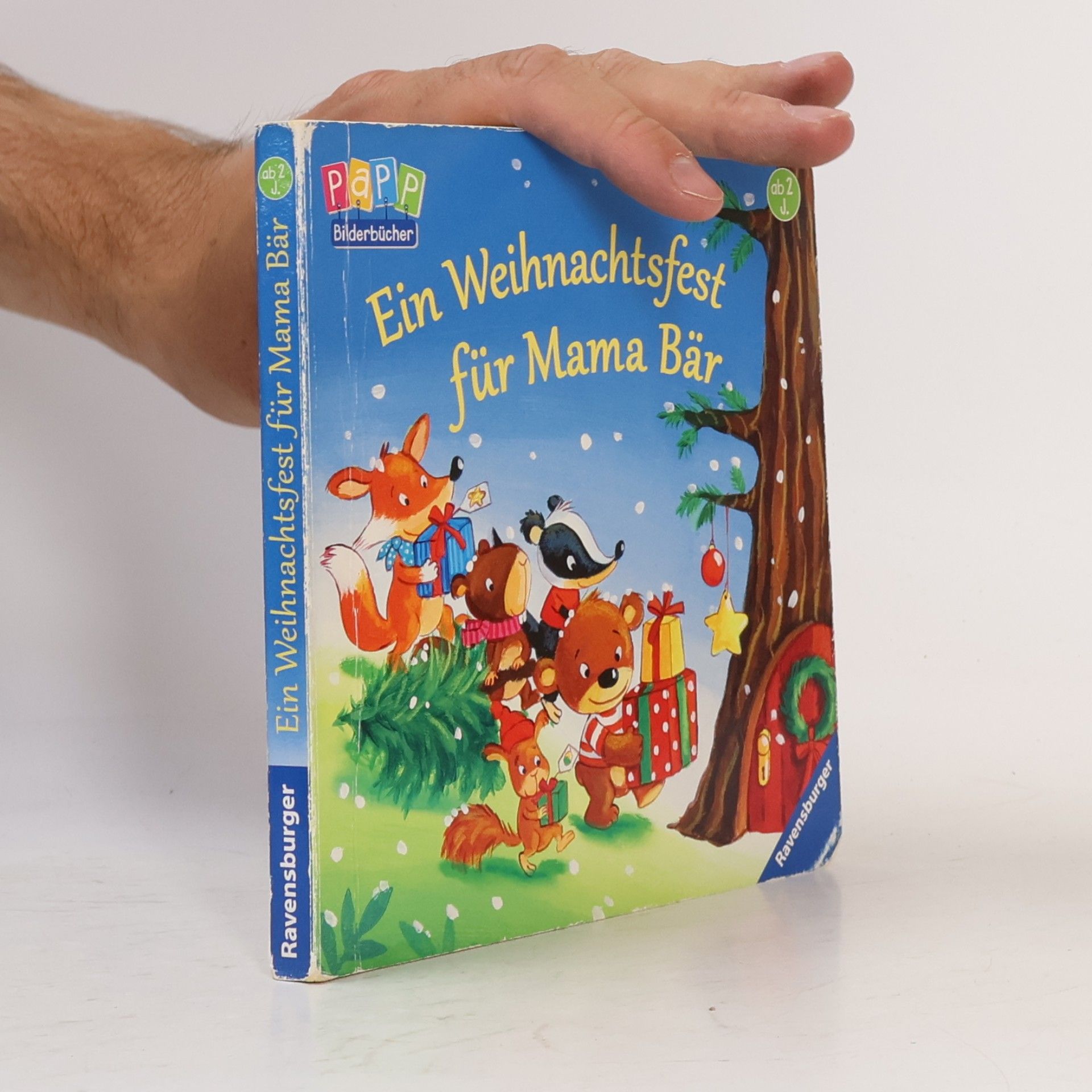 Sabine Kraushaar Ein Weihnachtsfest für Mama Bär