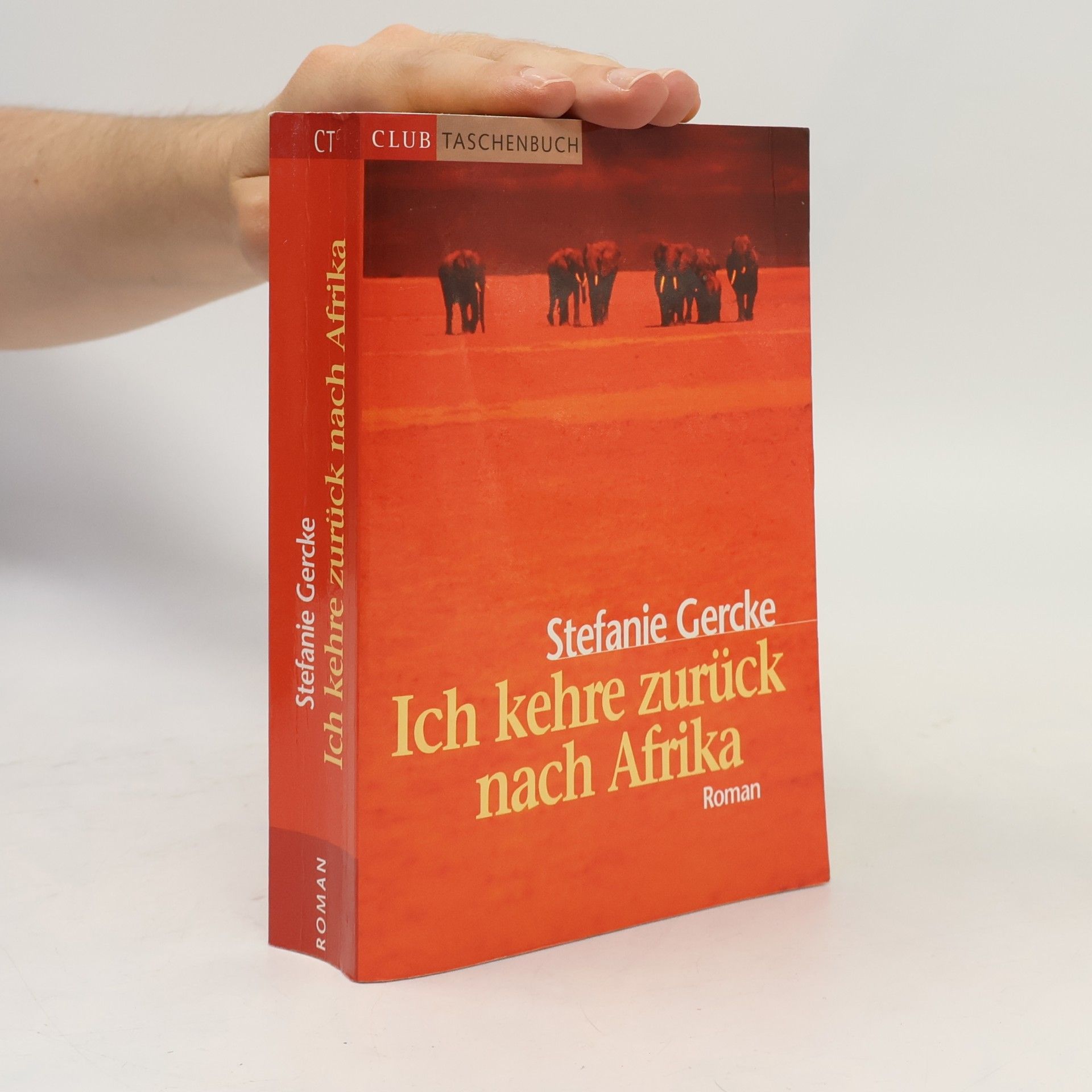 Stefanie Gercke Ich kehre zurück nach Afrika