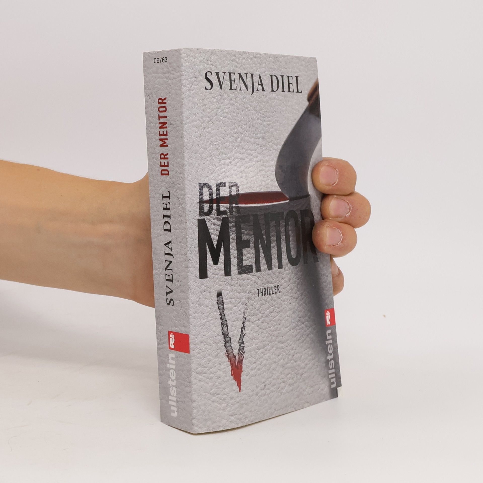 Svenja Diel Der Mentor