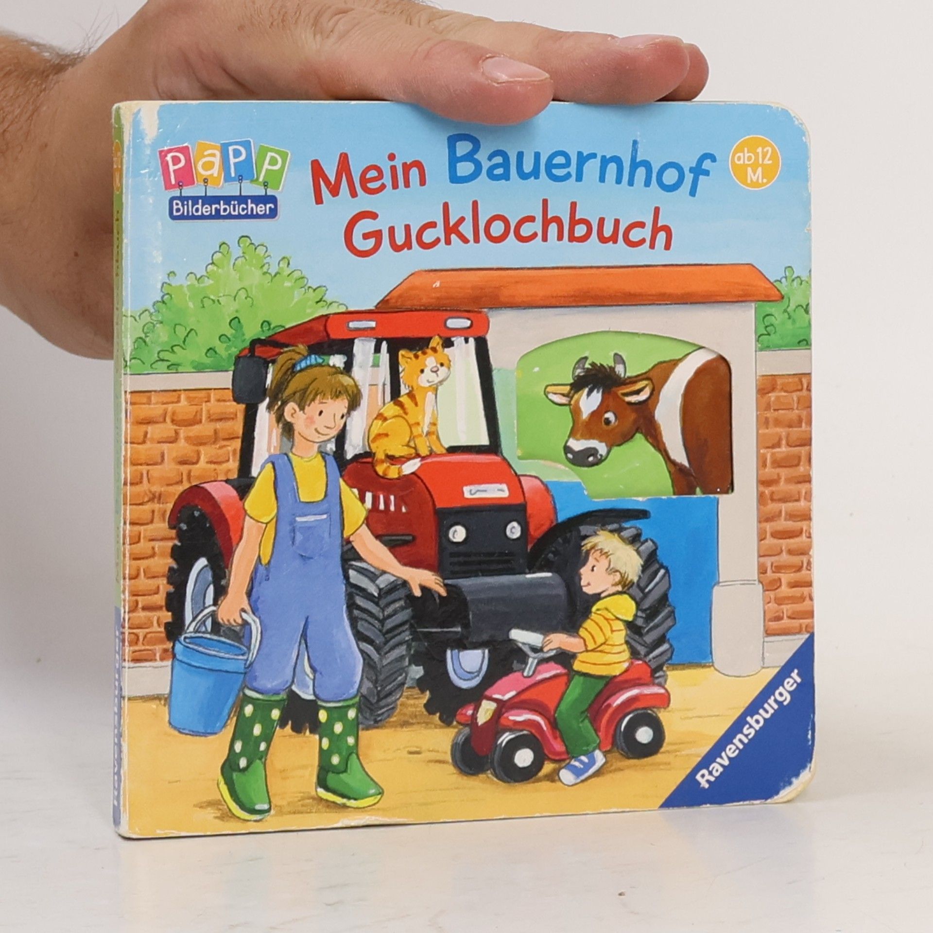 Antje Flad Mein Bauernhof Gucklochbuch