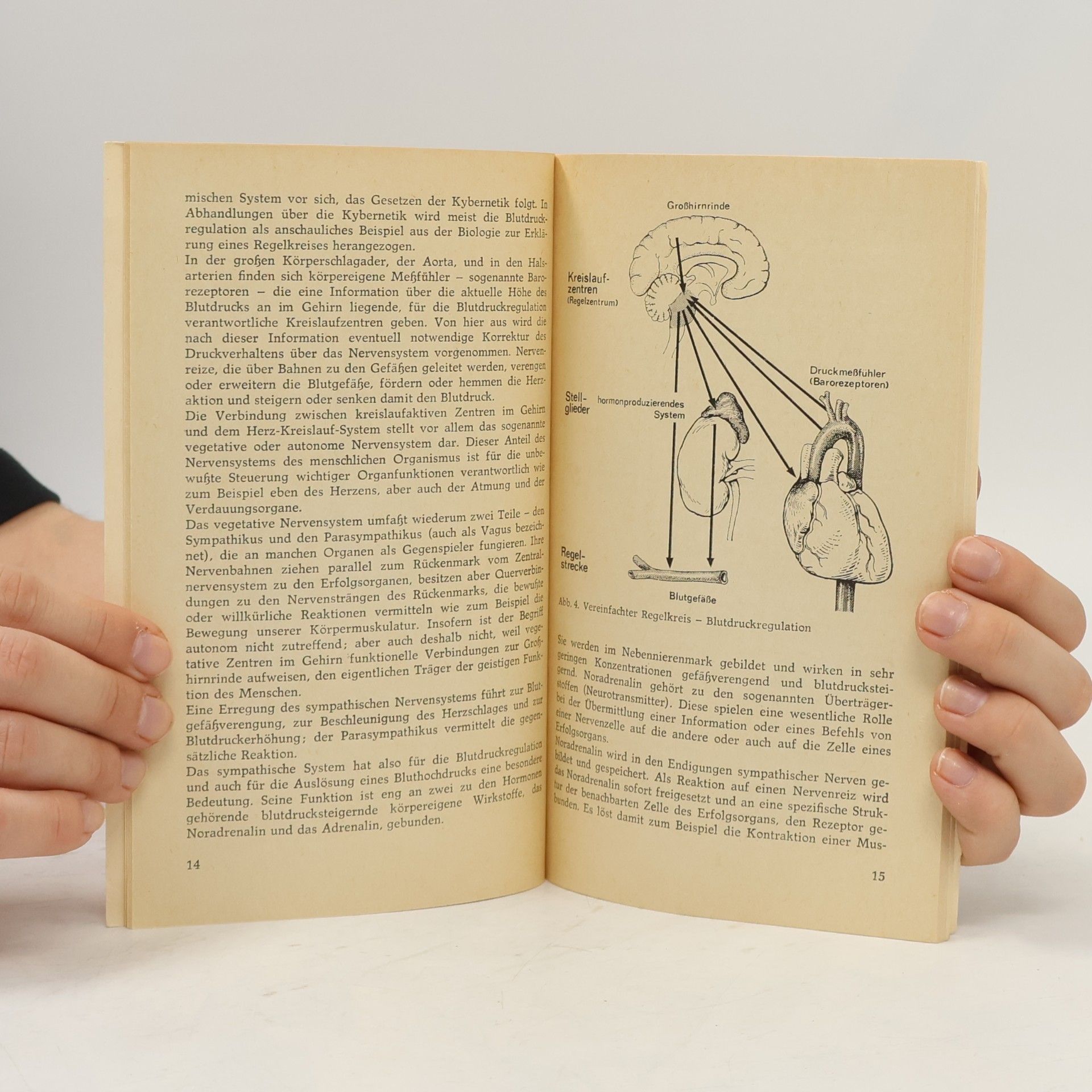 Autorenkollektiv Medicus. Der hohe Blutdruck
