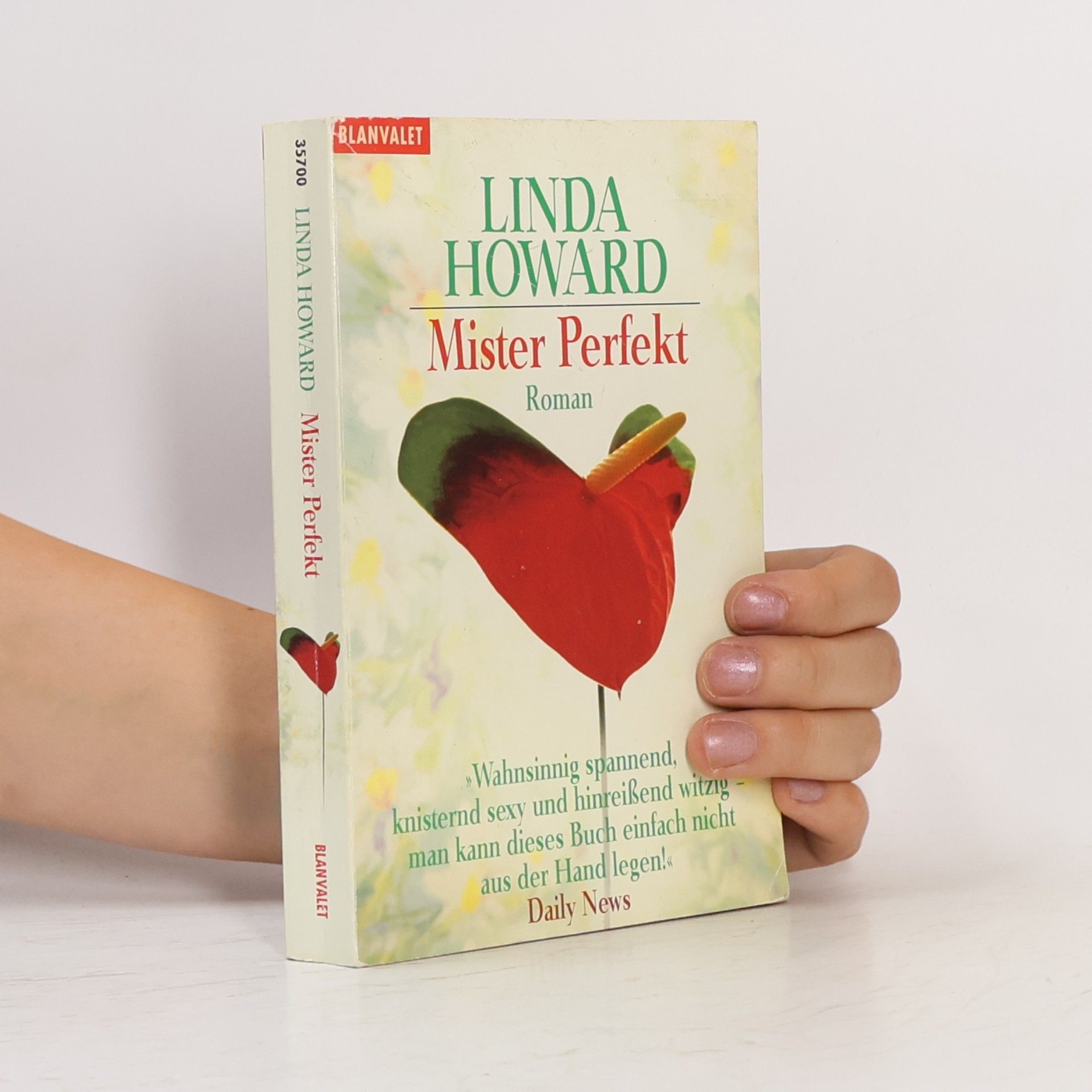 Linda Howard Mister Perfekt