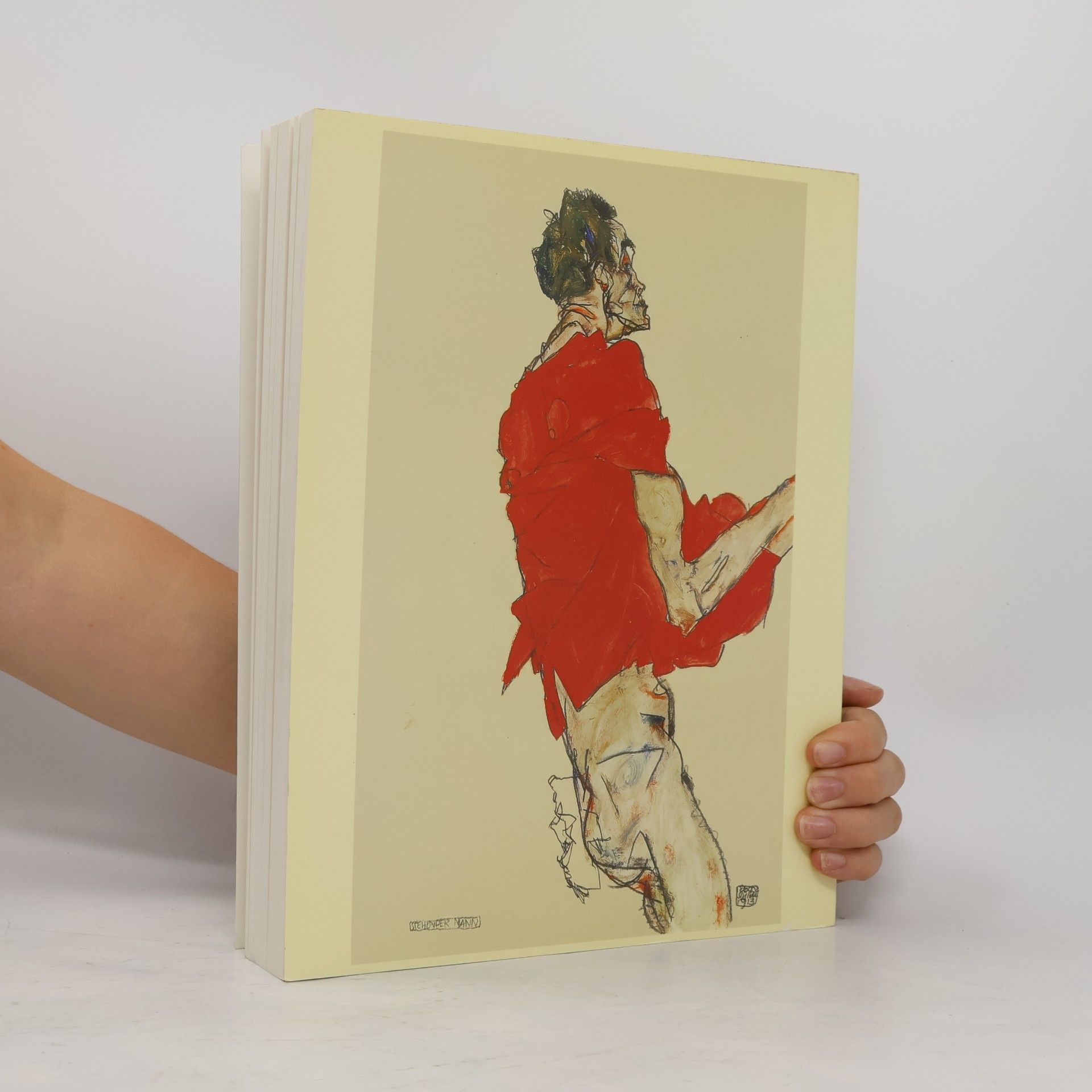 Rudolf Leopold Egon Schiele : Die Sammlung Leopold