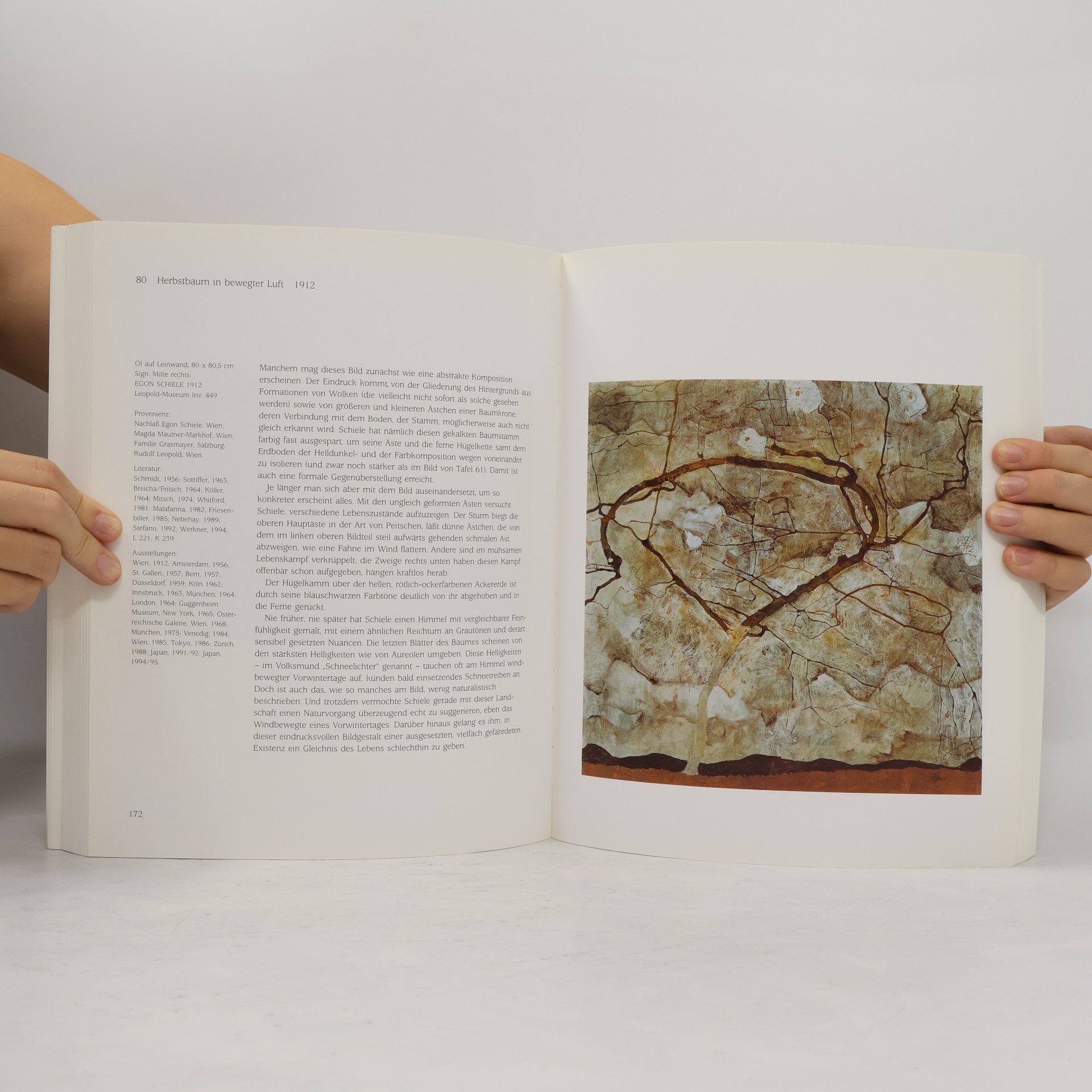 Rudolf Leopold Egon Schiele : Die Sammlung Leopold